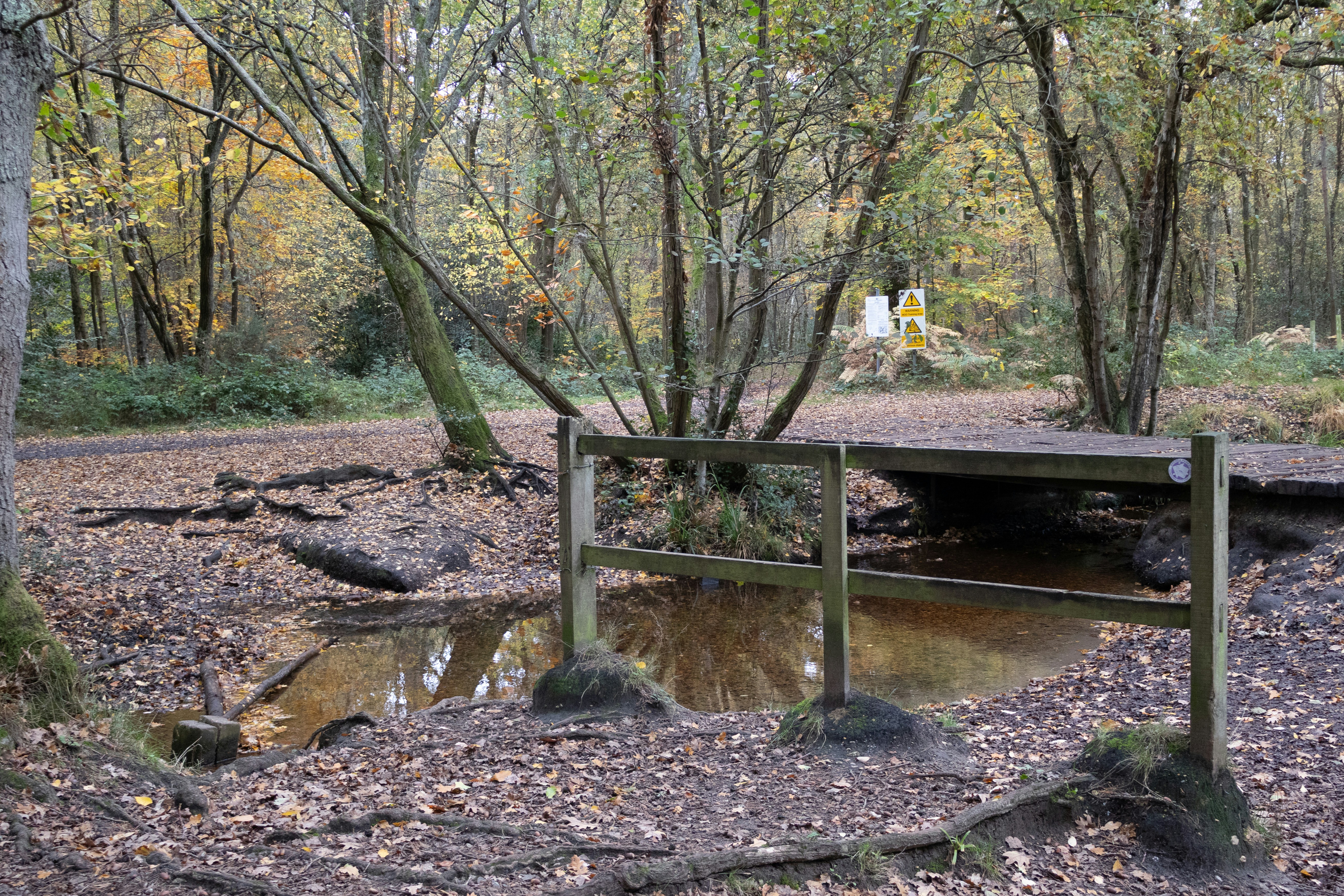 Photo by tanyabarrow