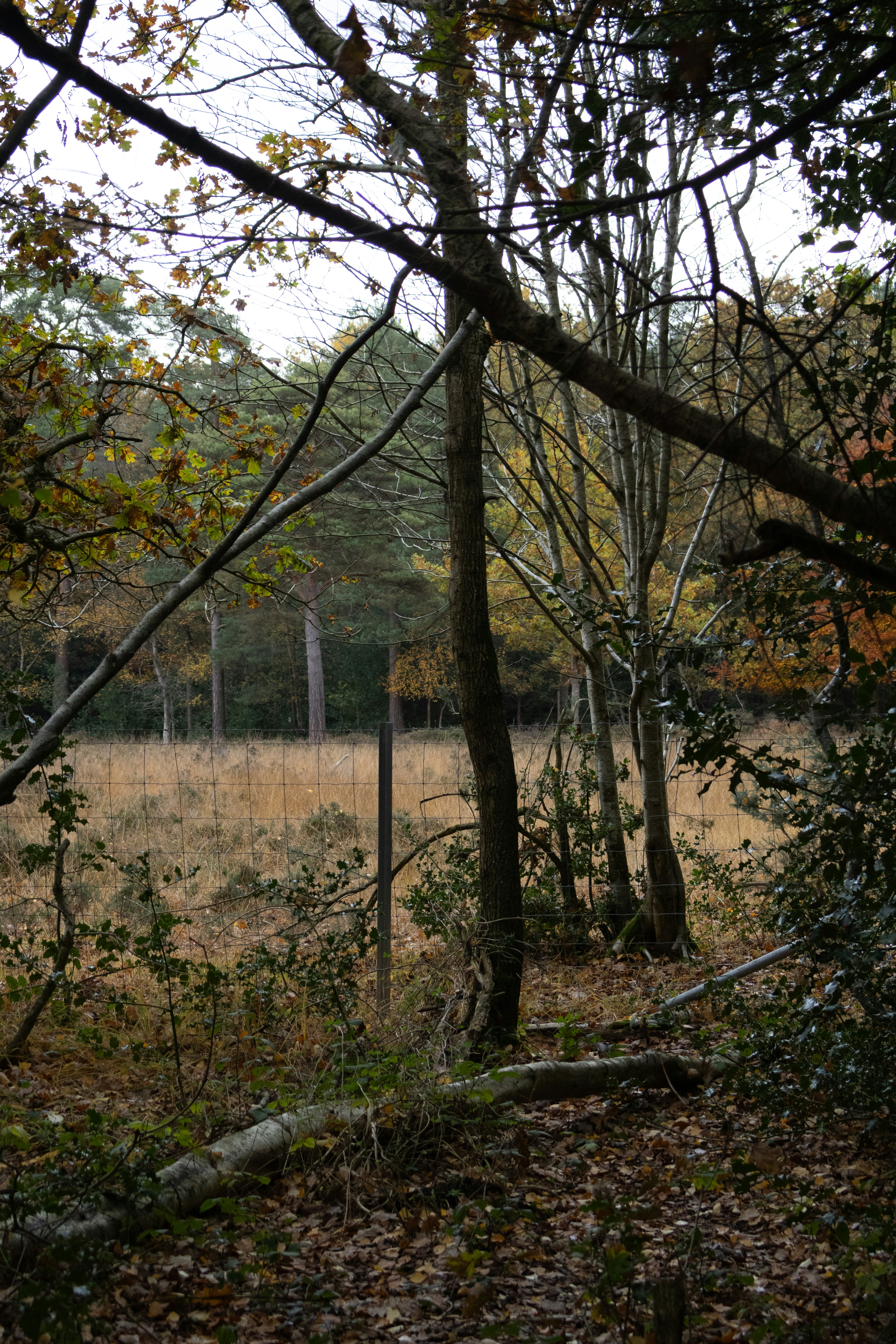 Photo by tanyabarrow