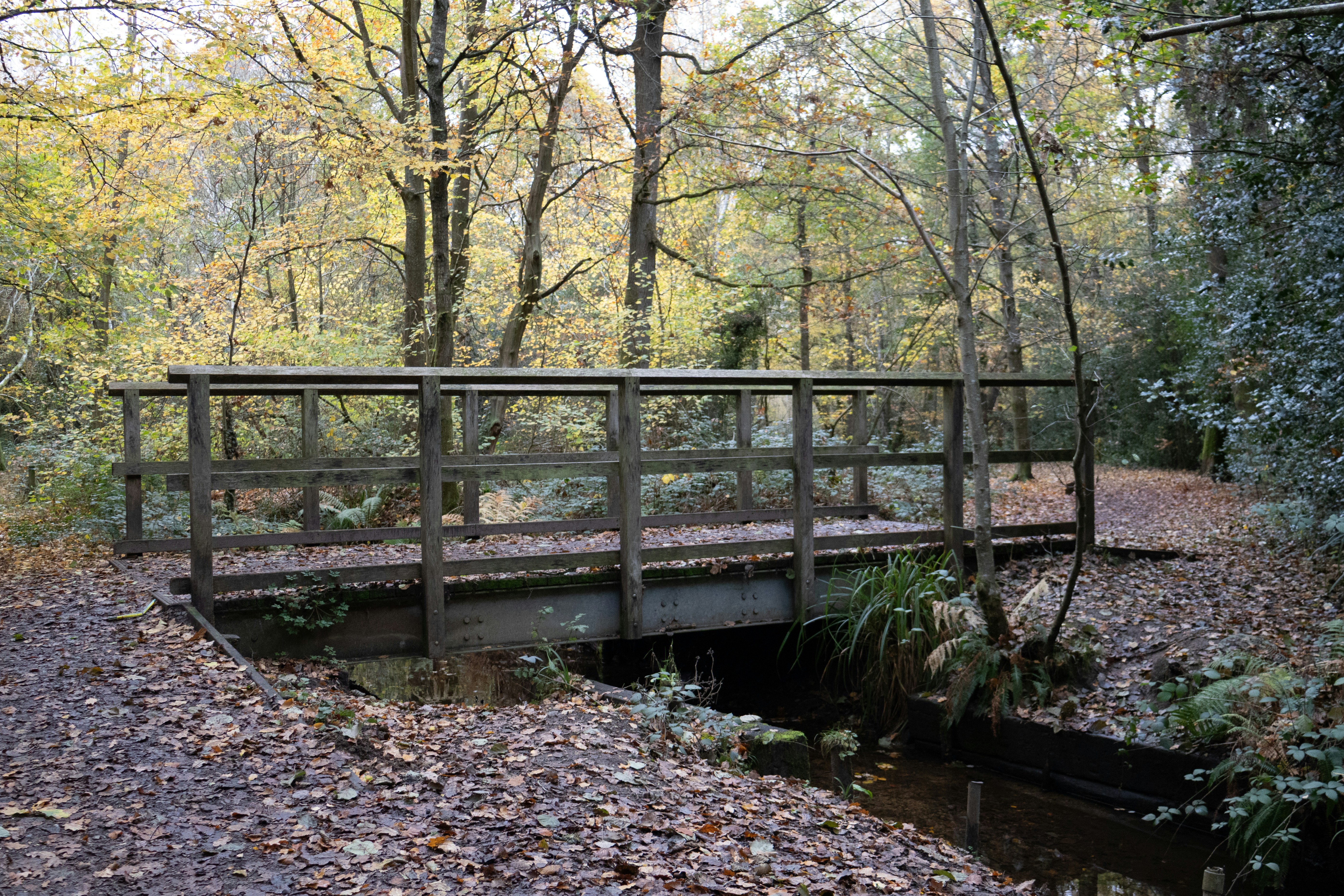 Photo by tanyabarrow