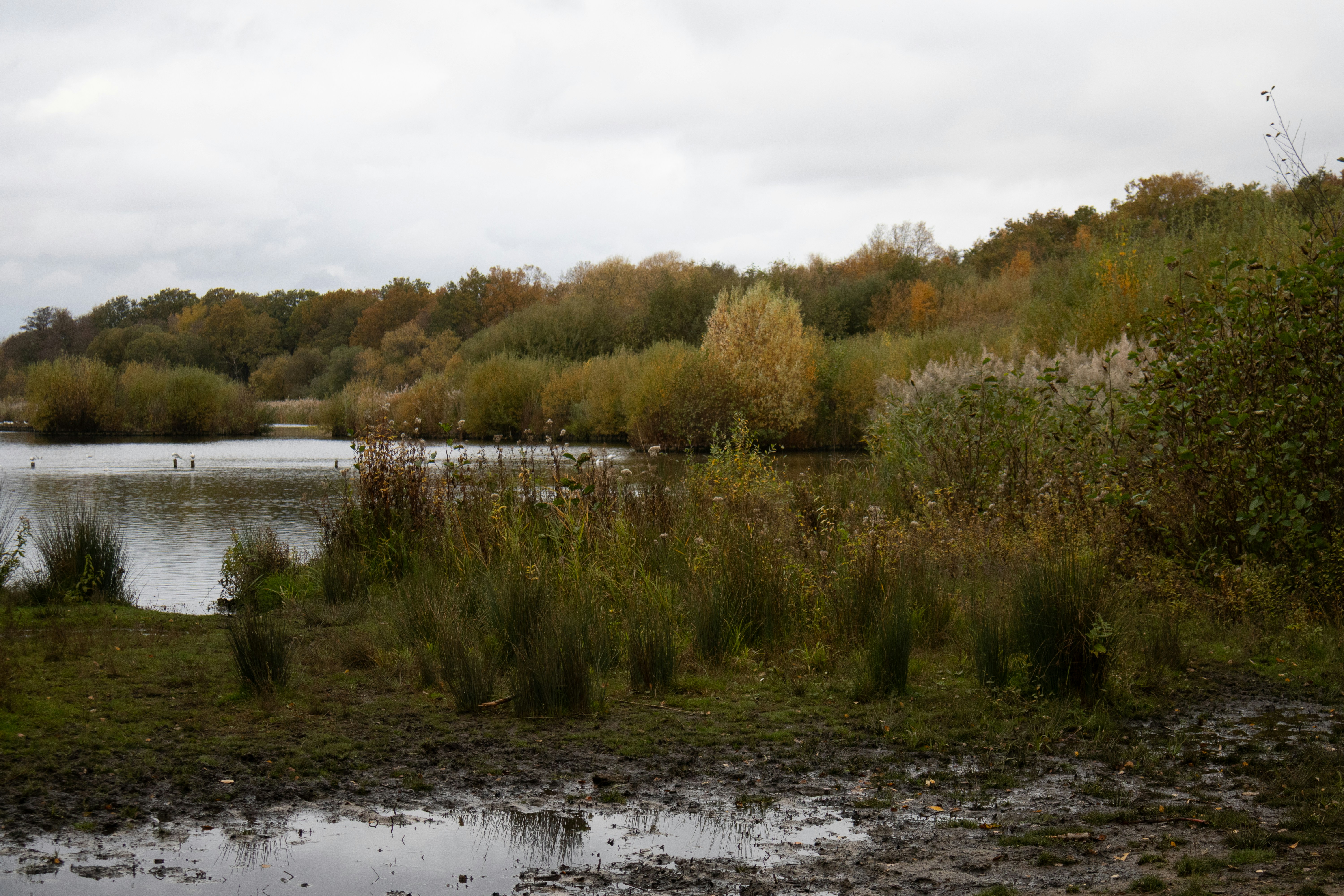 Photo by tanyabarrow