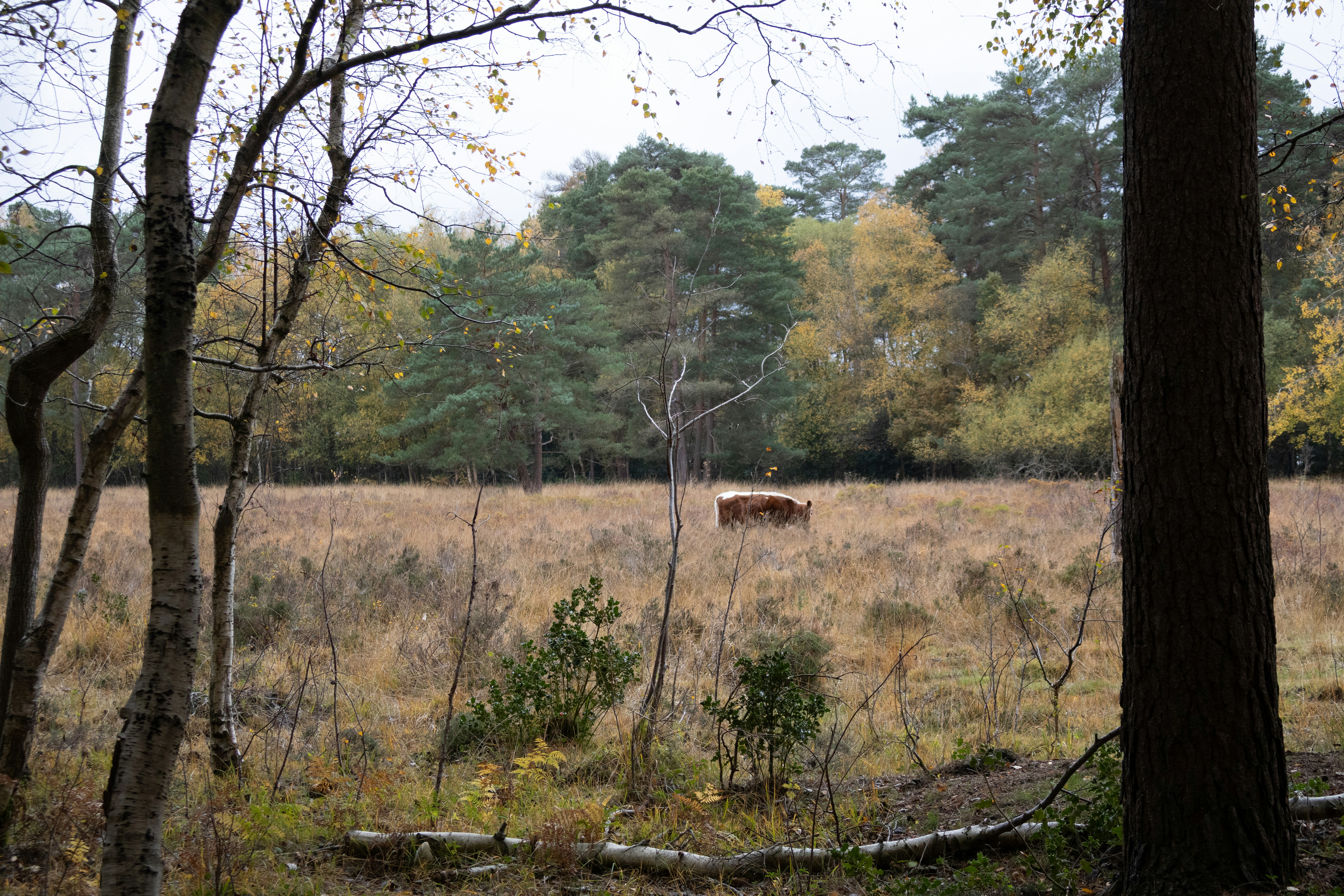 Photo by tanyabarrow