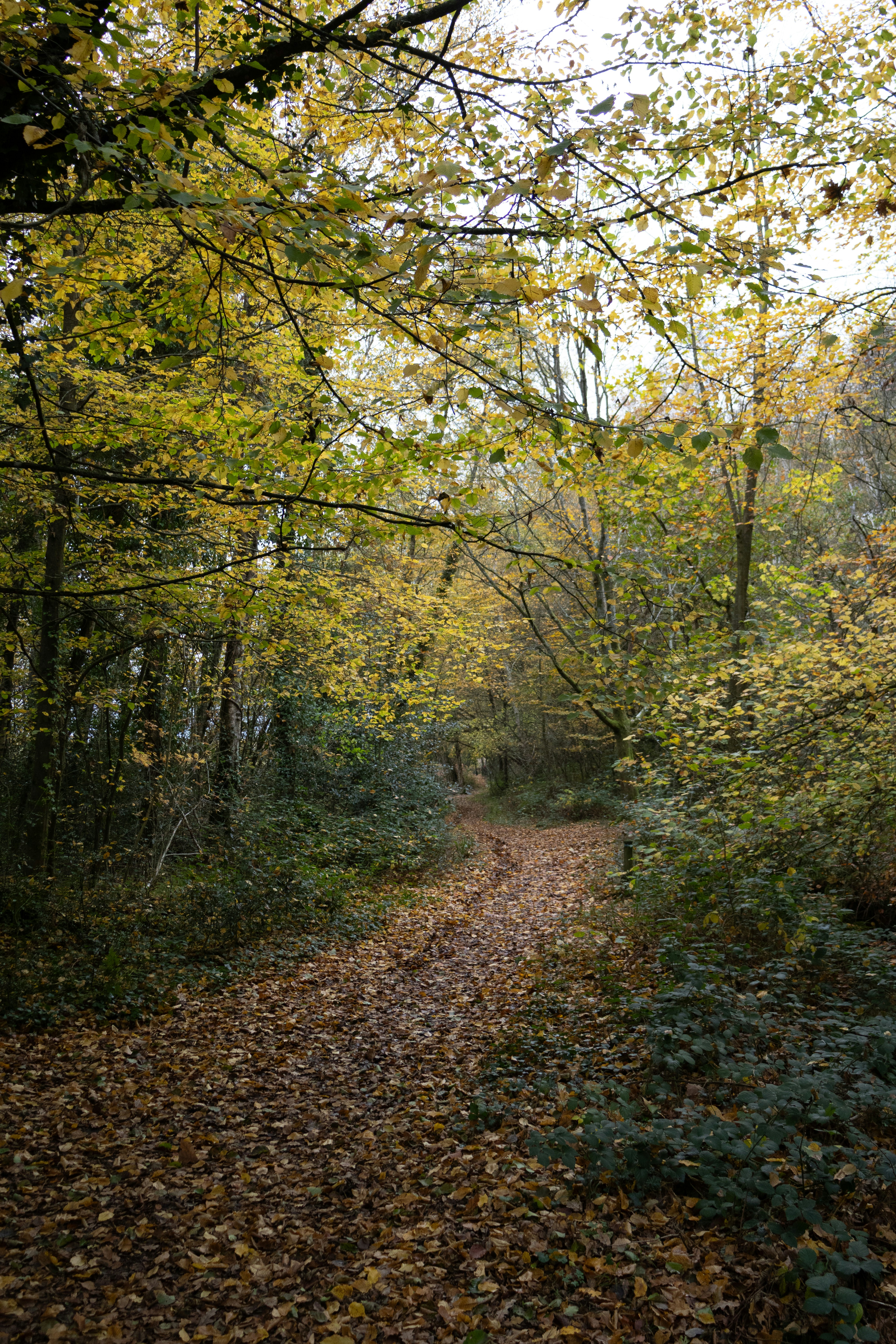 Photo by tanyabarrow