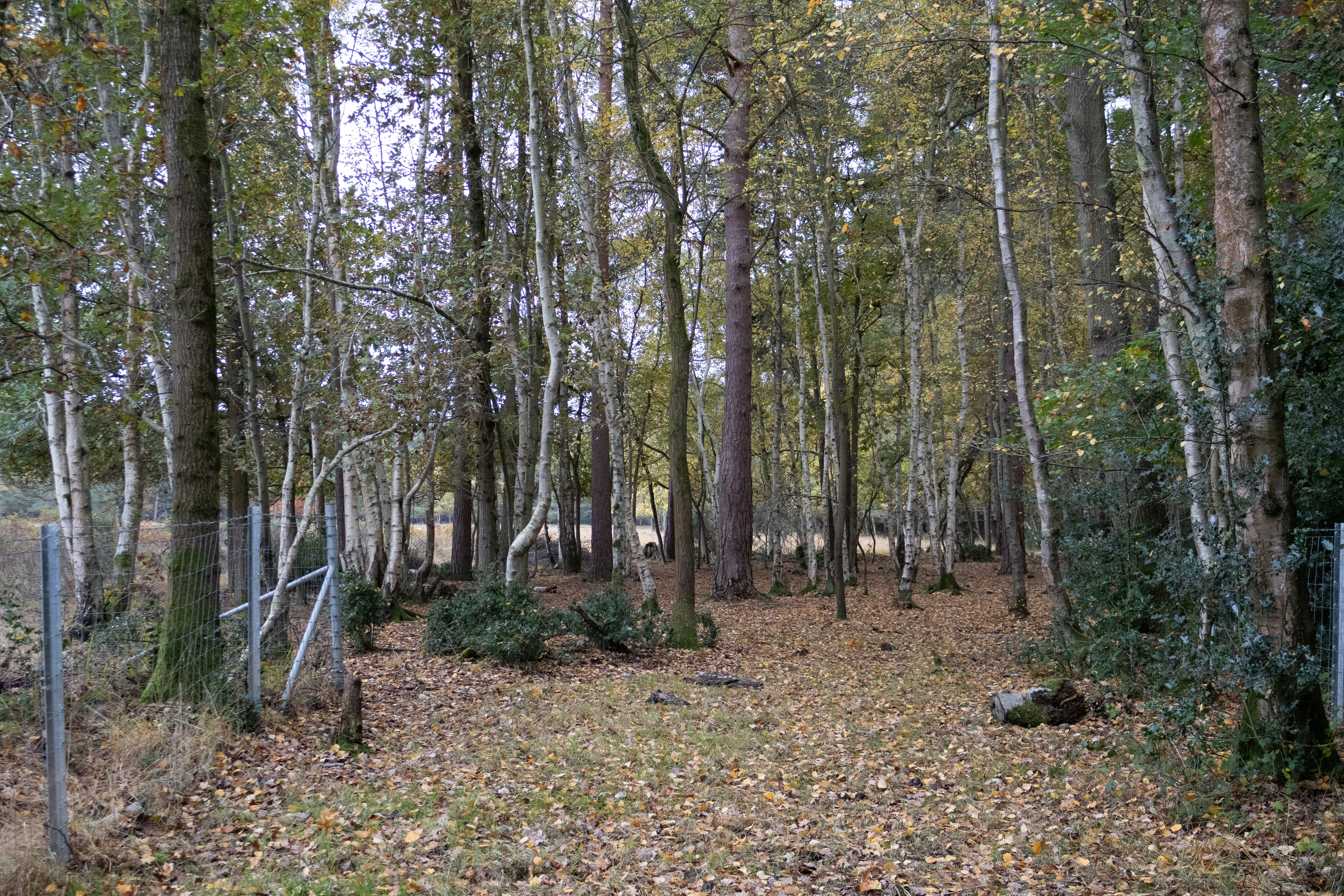 Photo by tanyabarrow