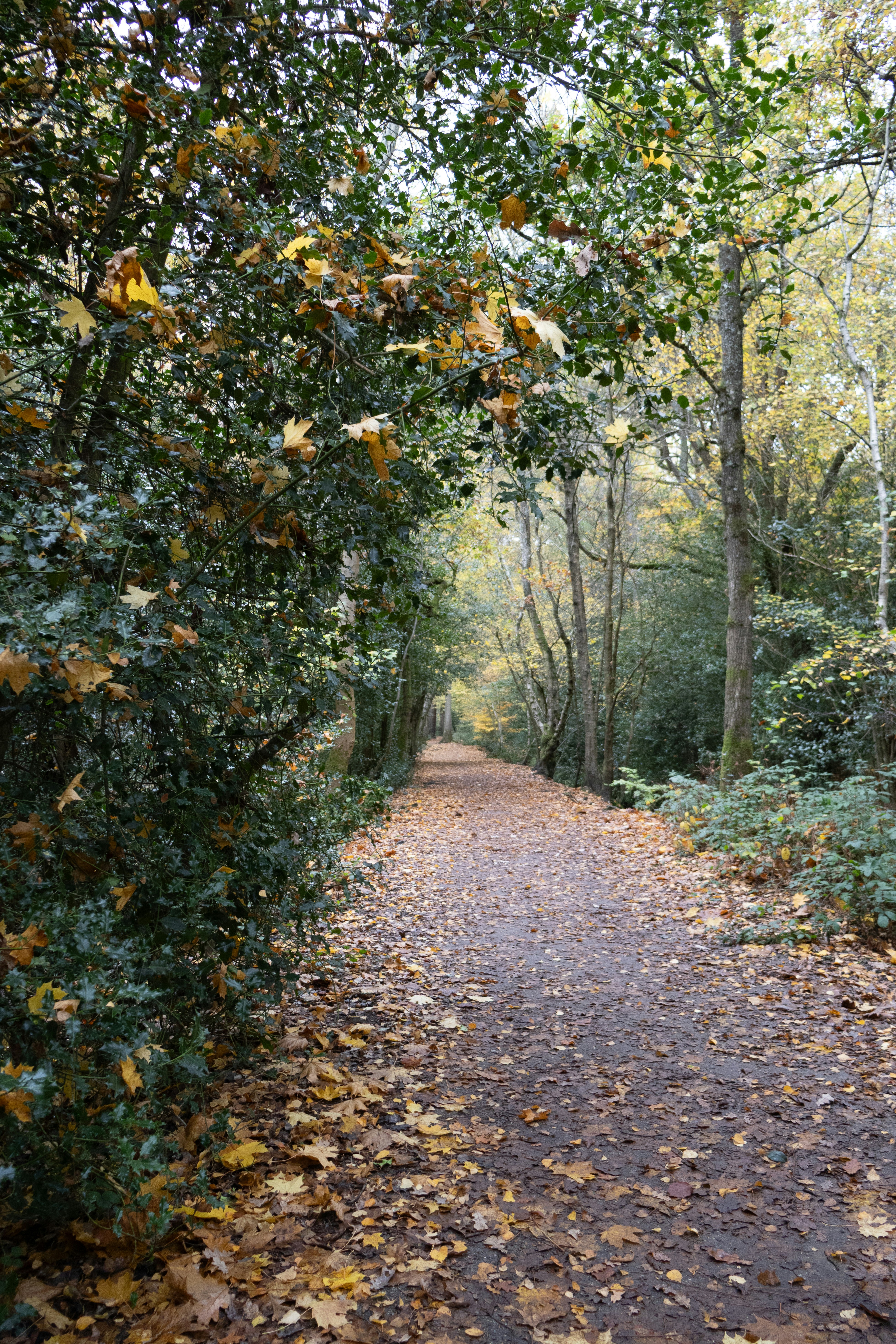 Photo by tanyabarrow