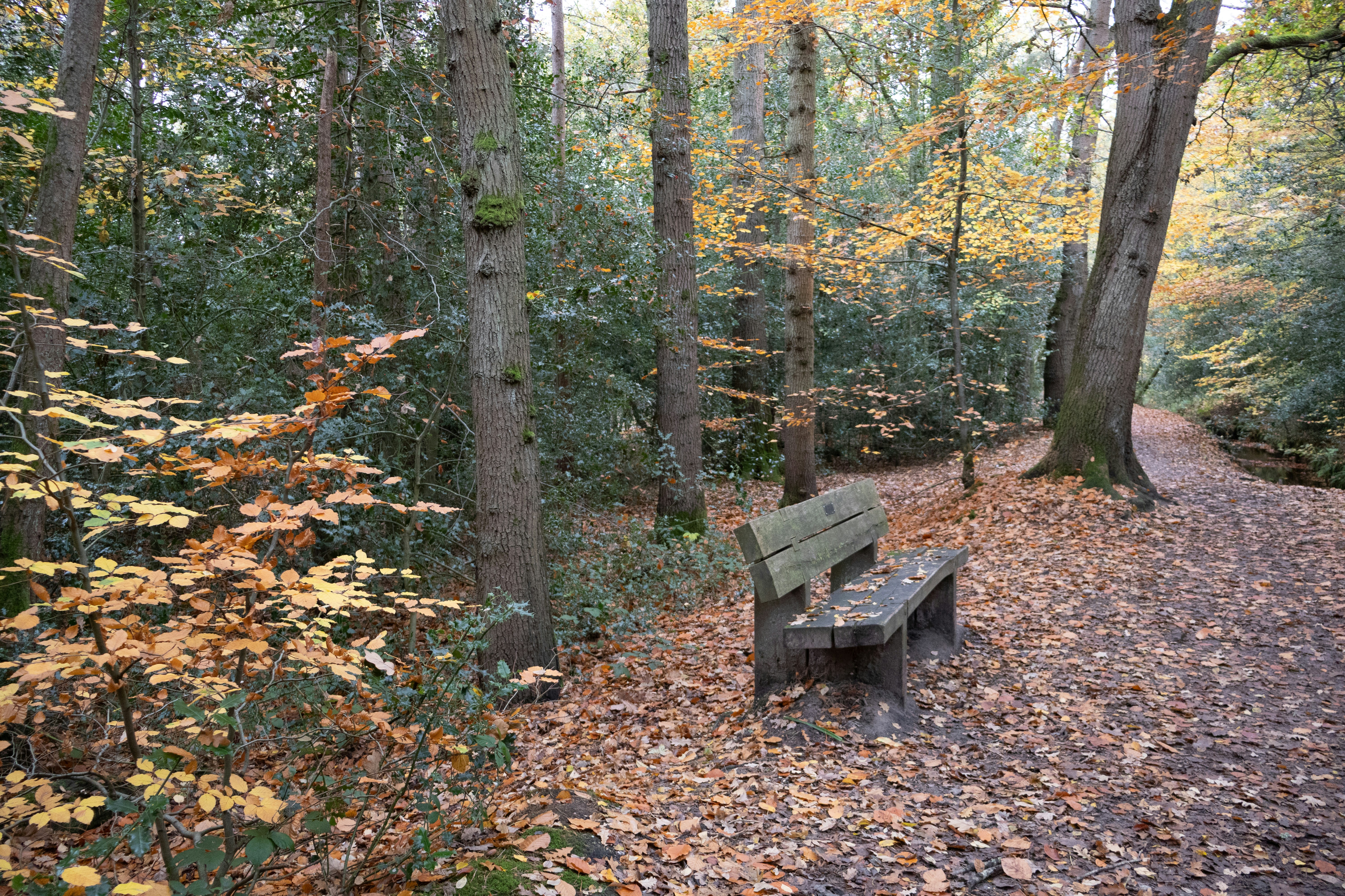 Photo by tanyabarrow