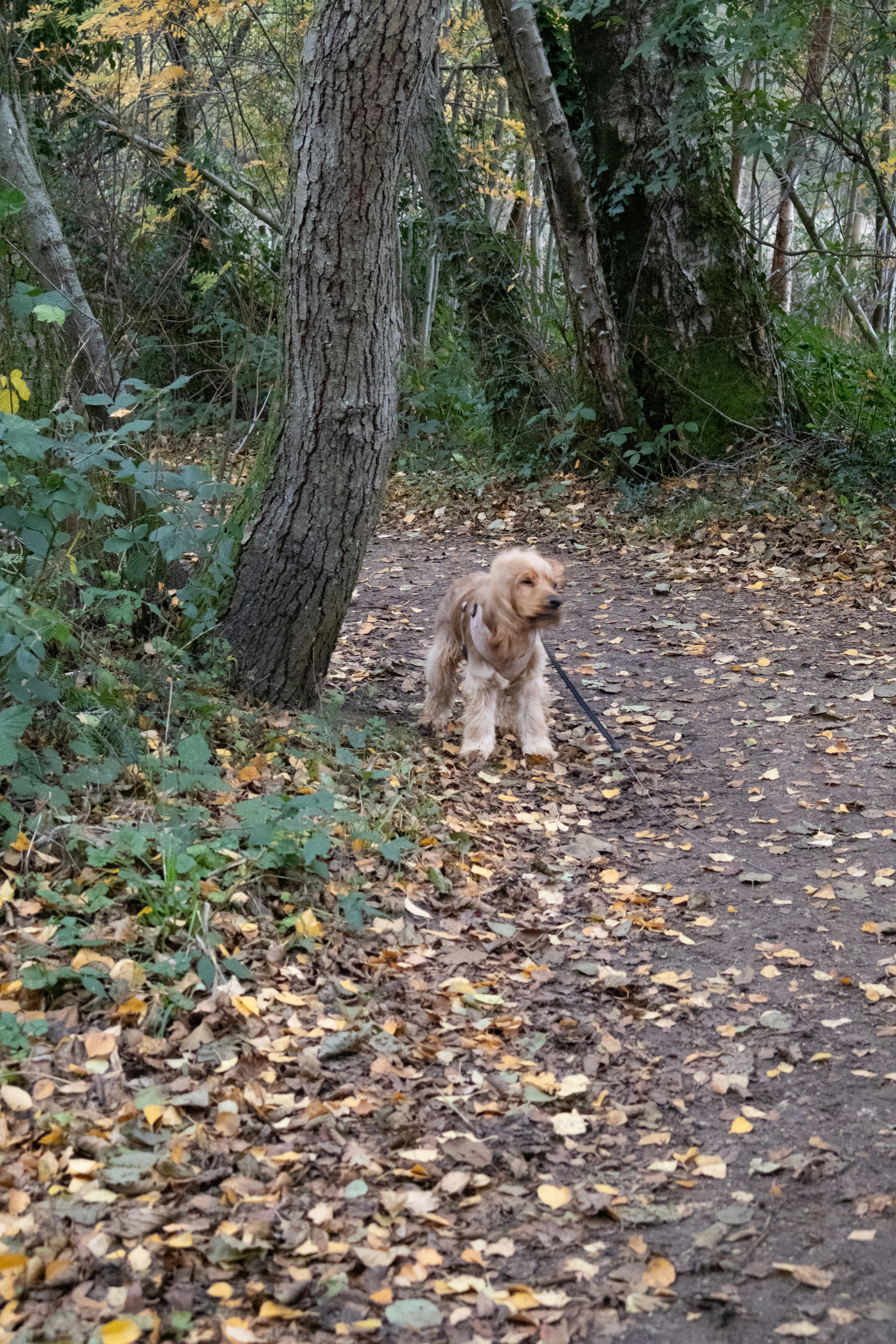 Photo by tanyabarrow