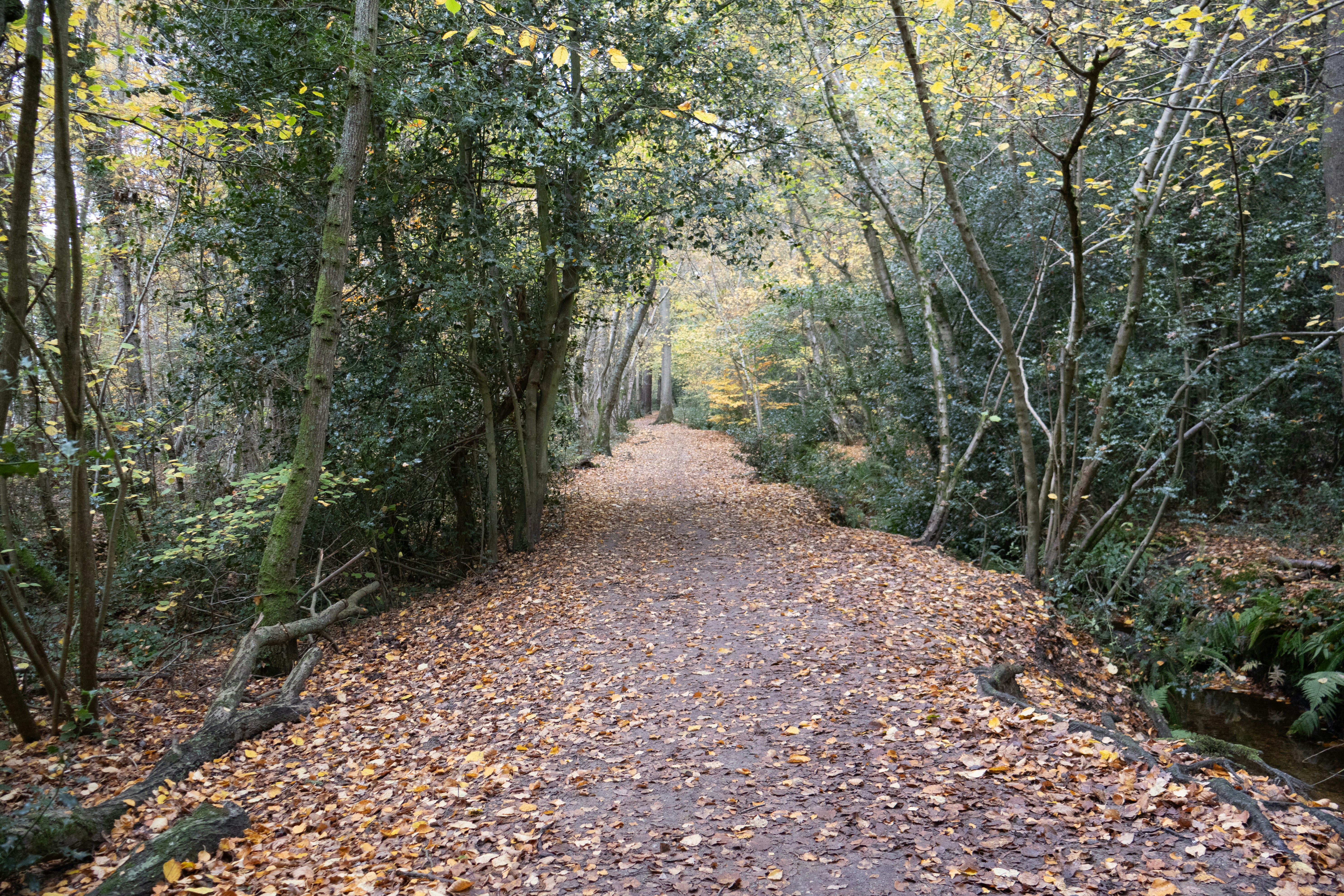 Photo by tanyabarrow