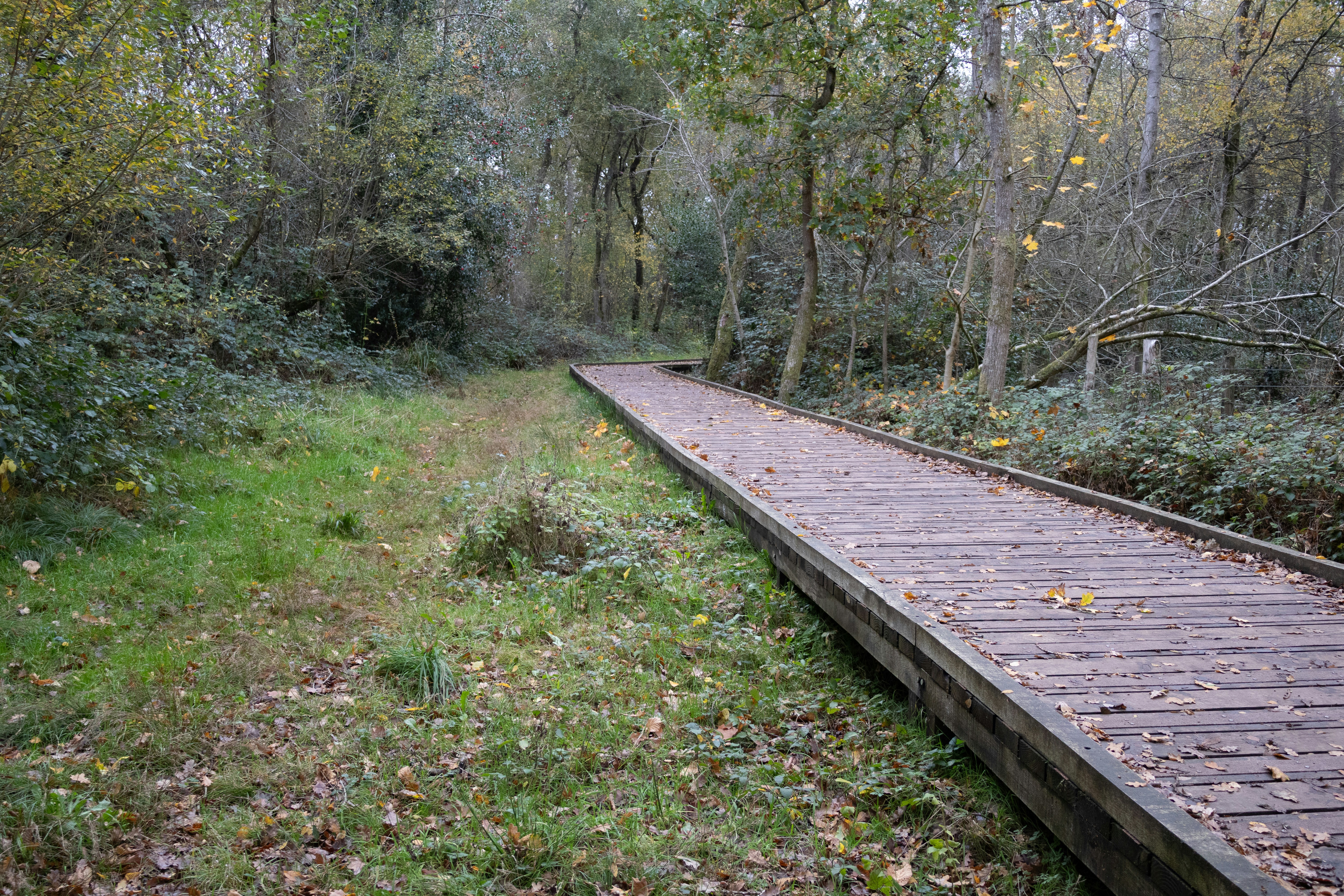 Photo by tanyabarrow