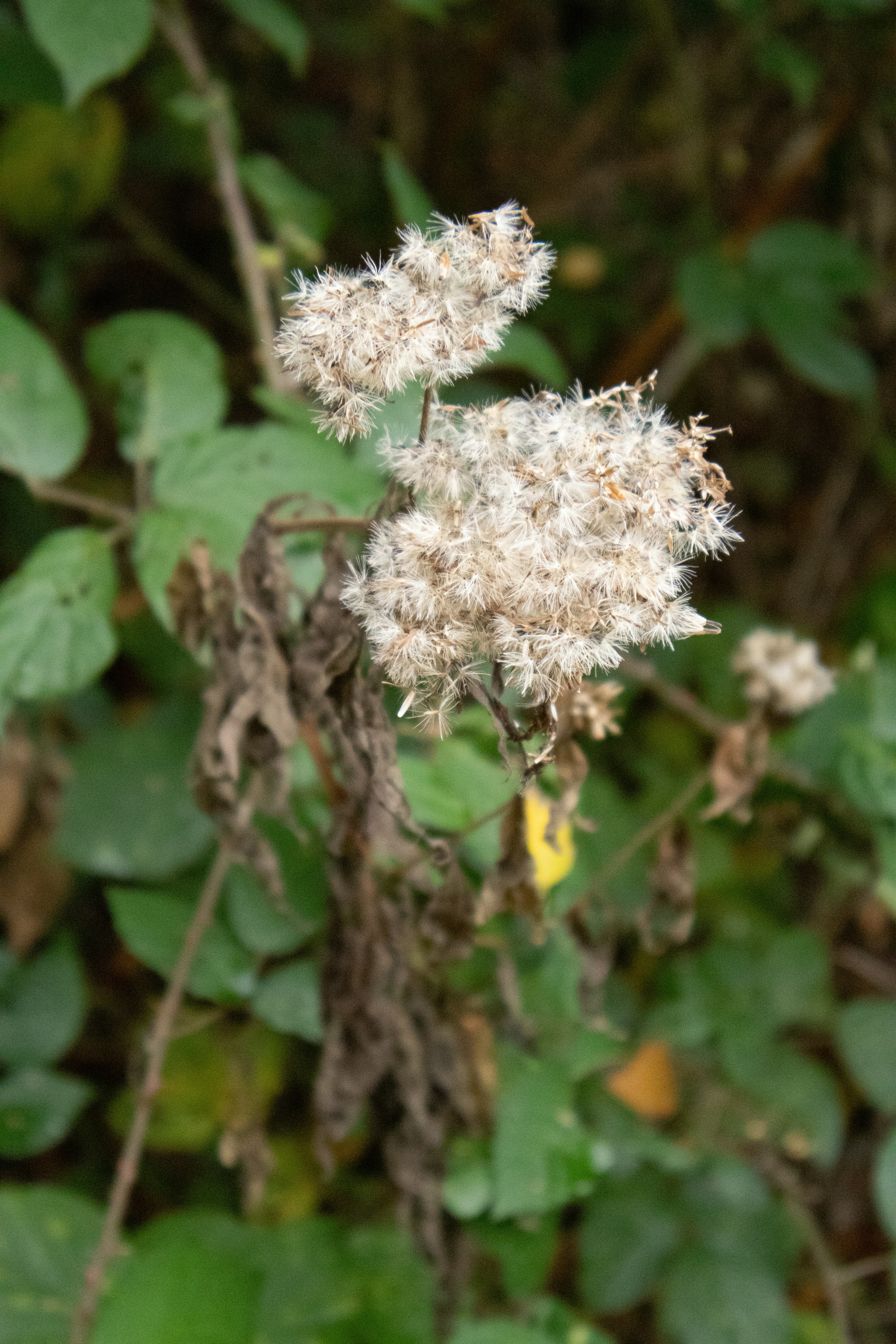 Photo by tanyabarrow