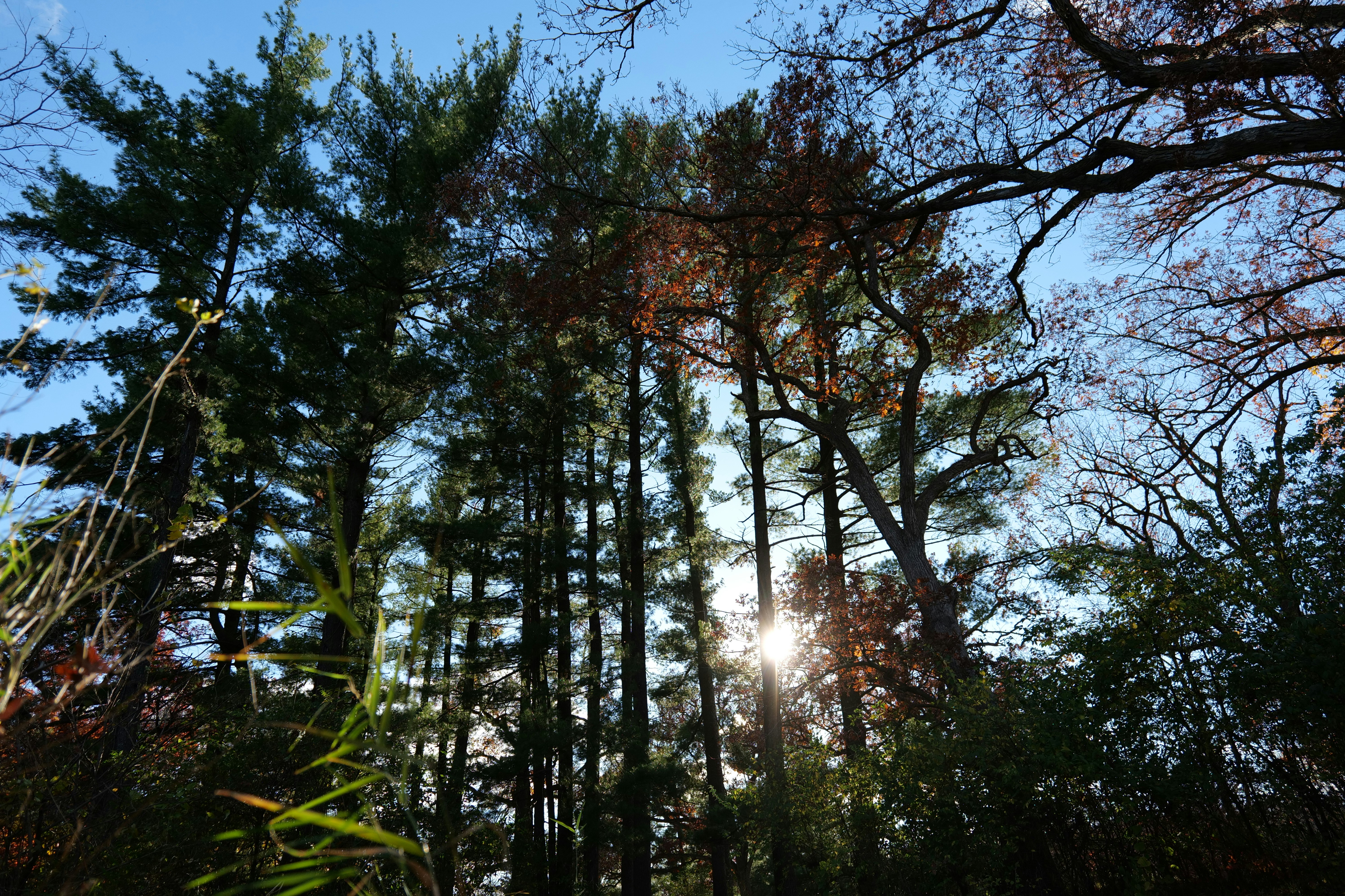 Photo by aphares3849