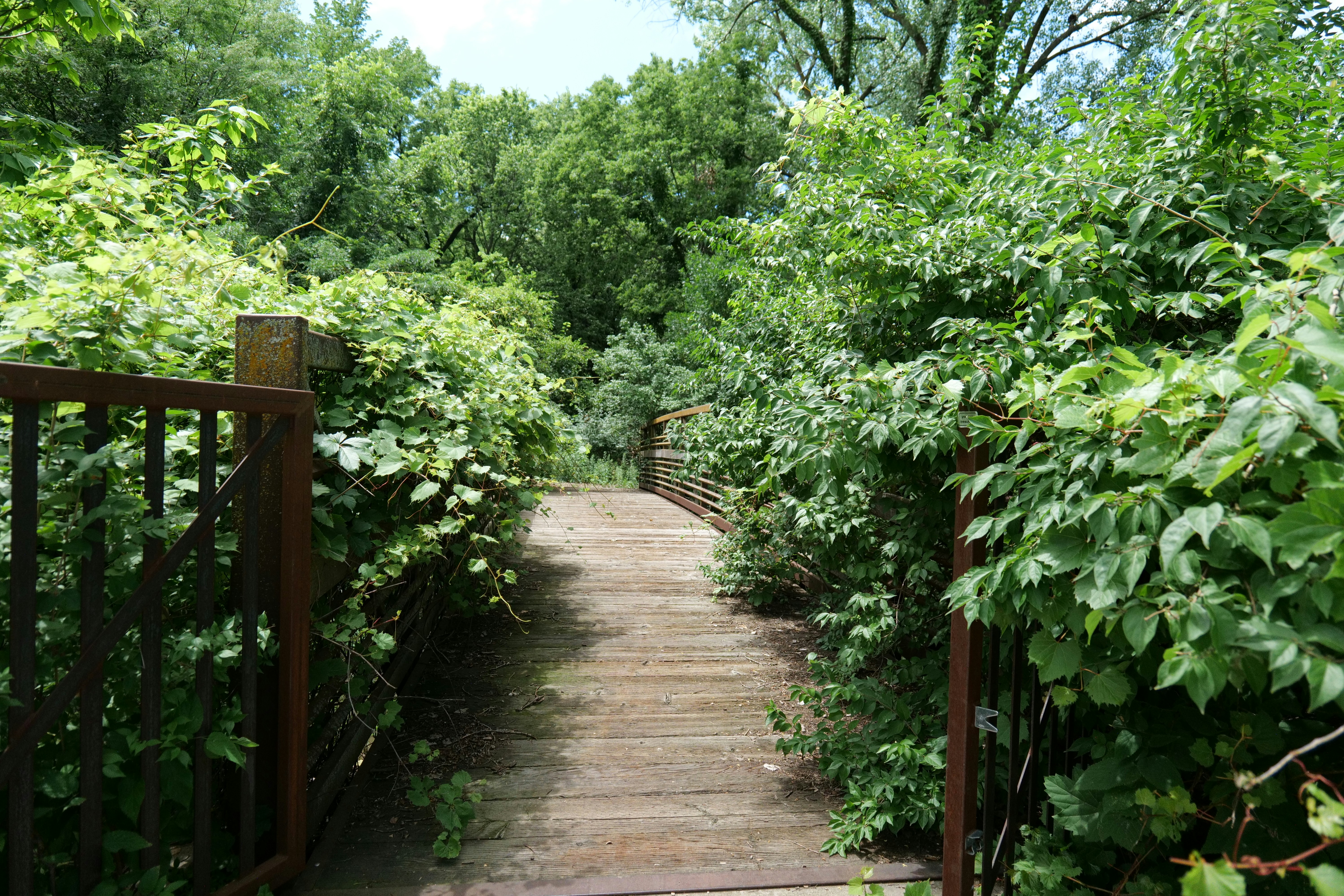 Photo by aphares3849