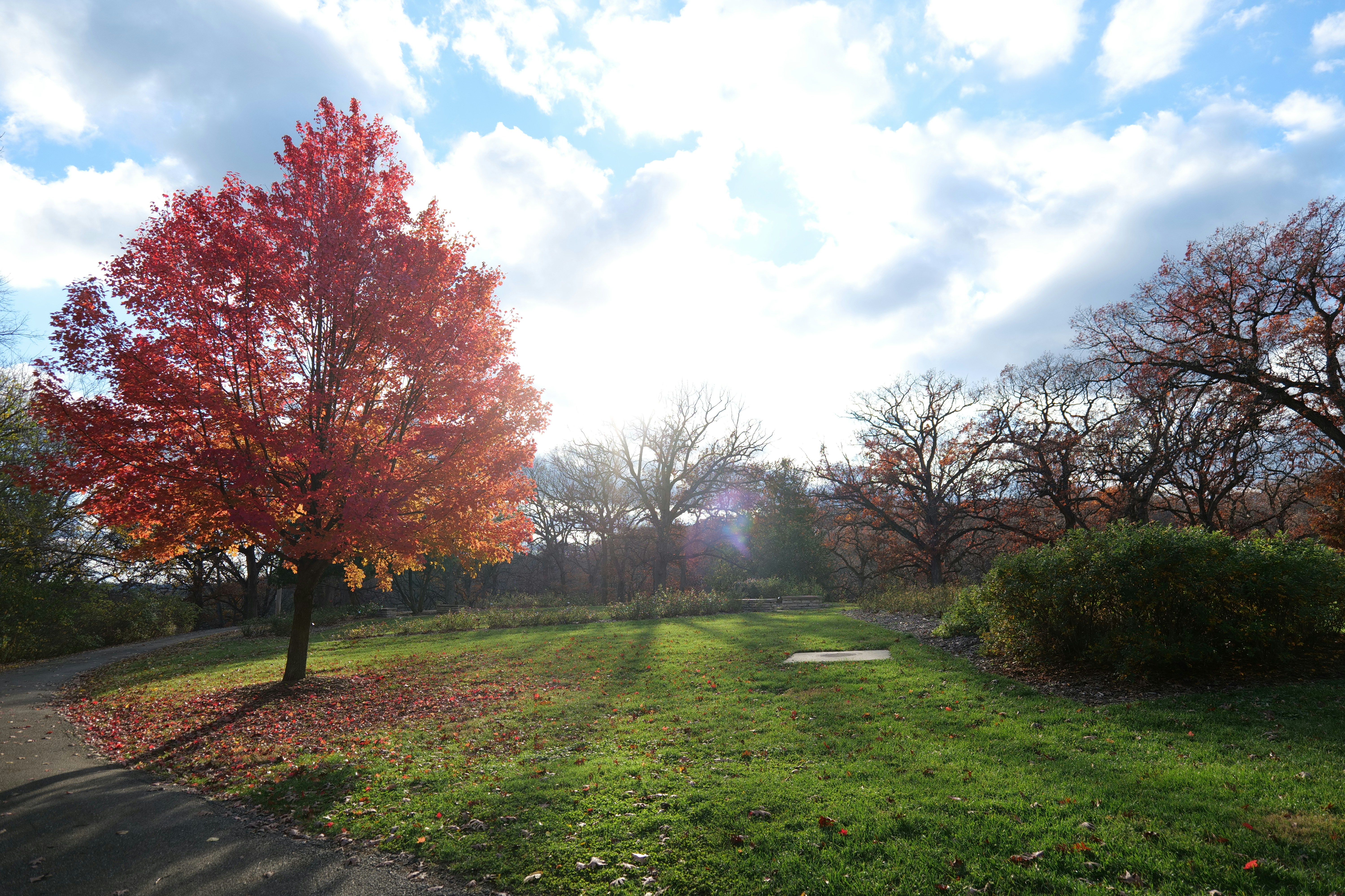 Photo by aphares3849