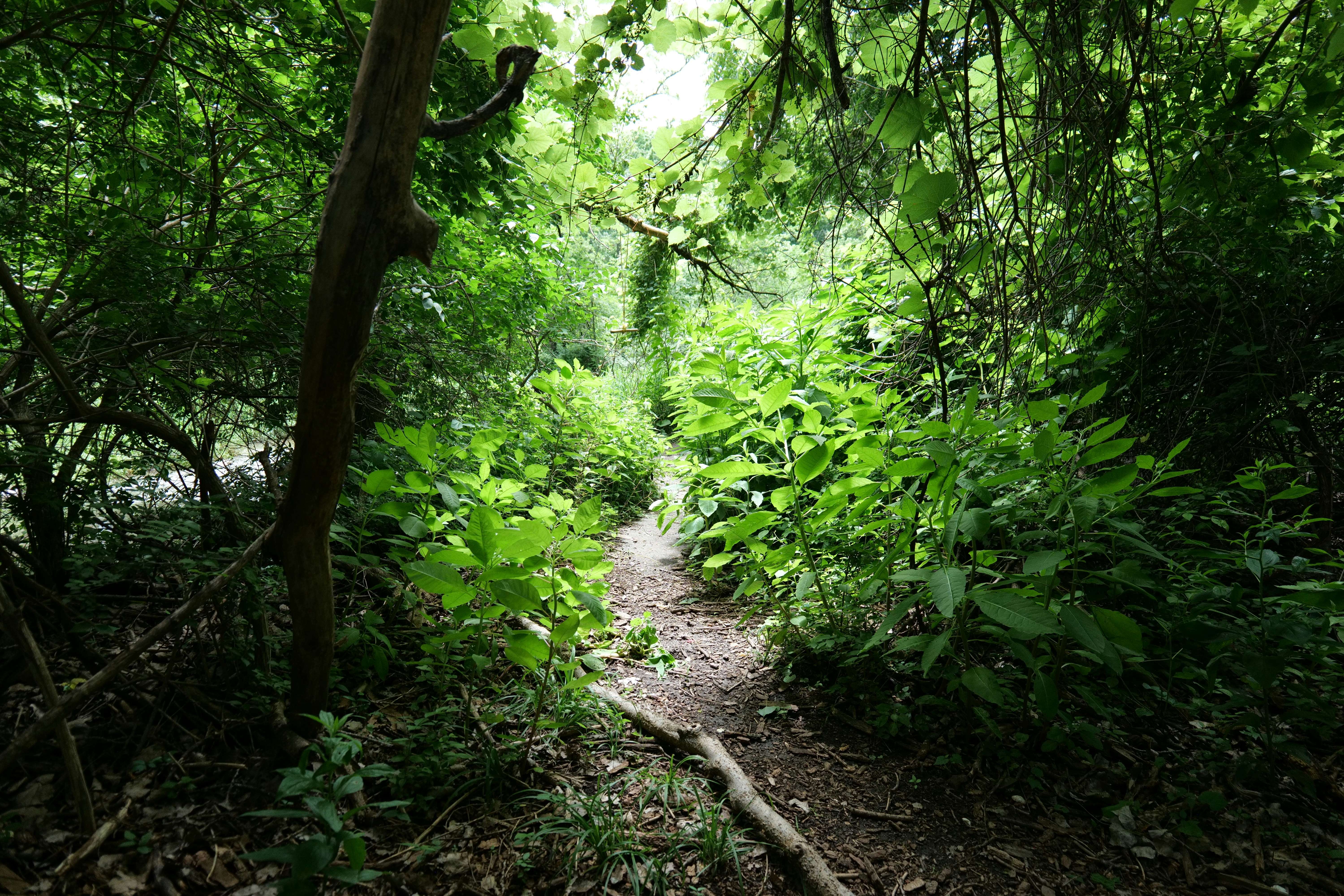 Photo by aphares3849