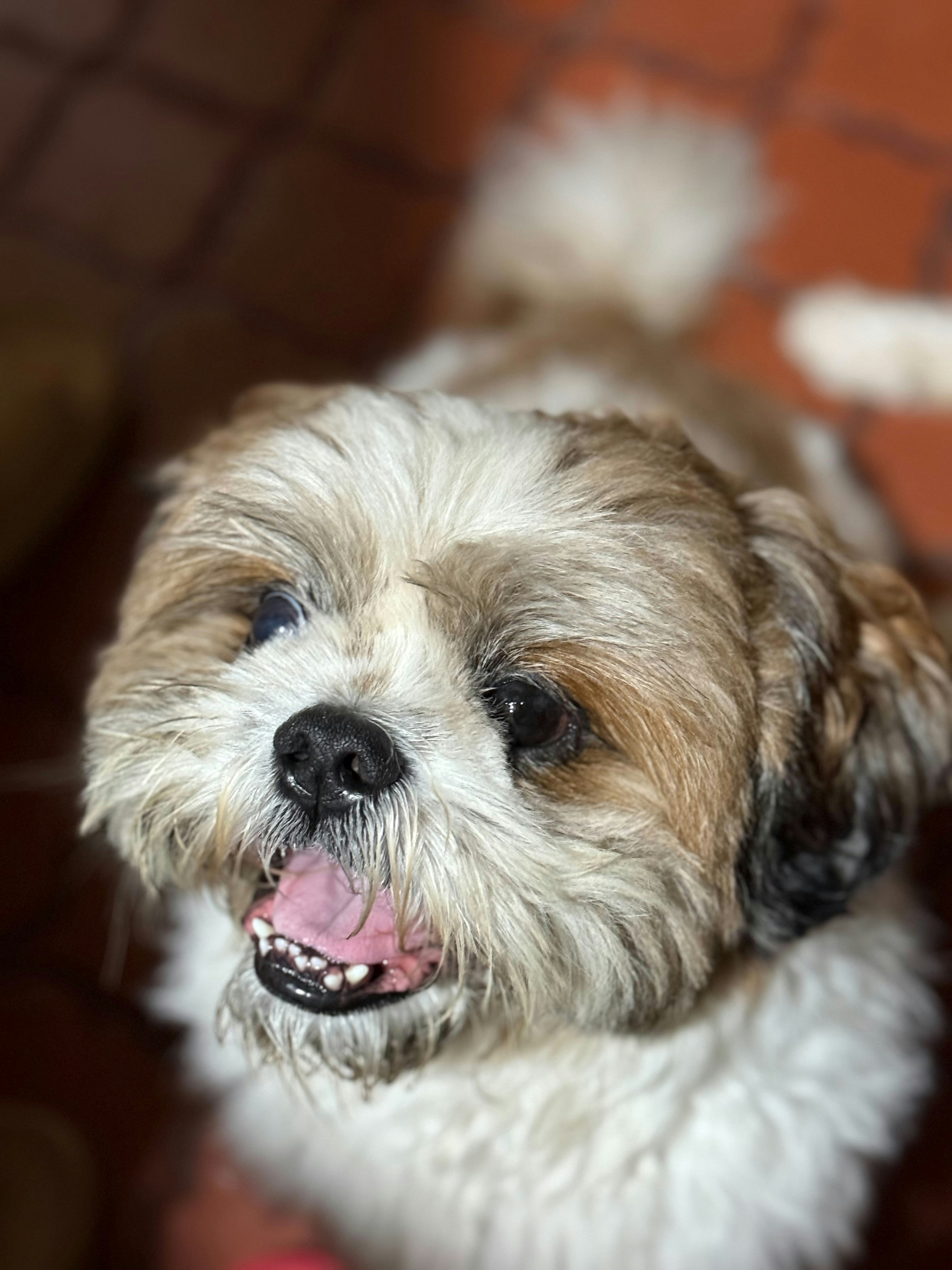 Photo by mtsriveraunsplash