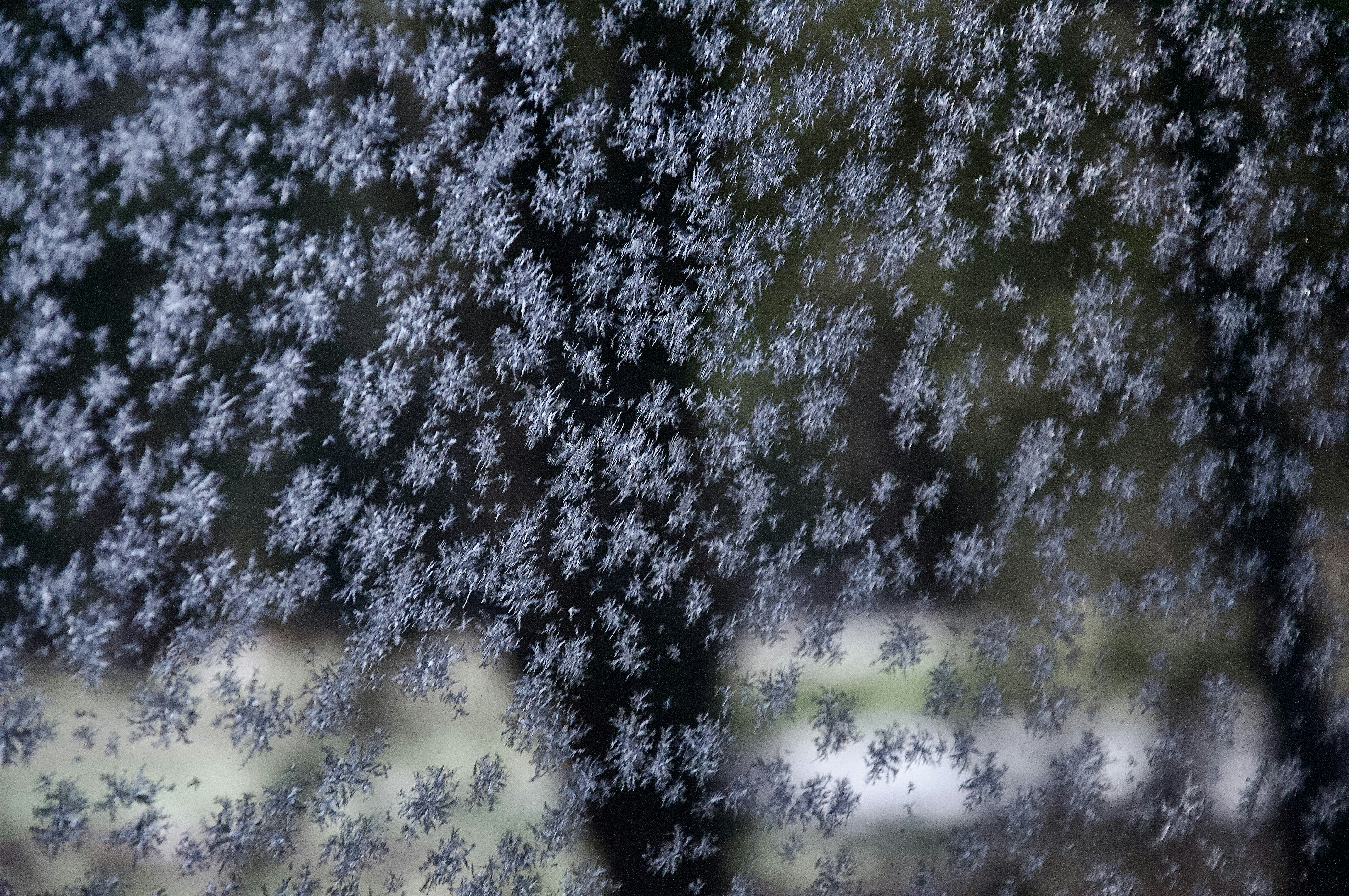 Frost patterns on a window pane