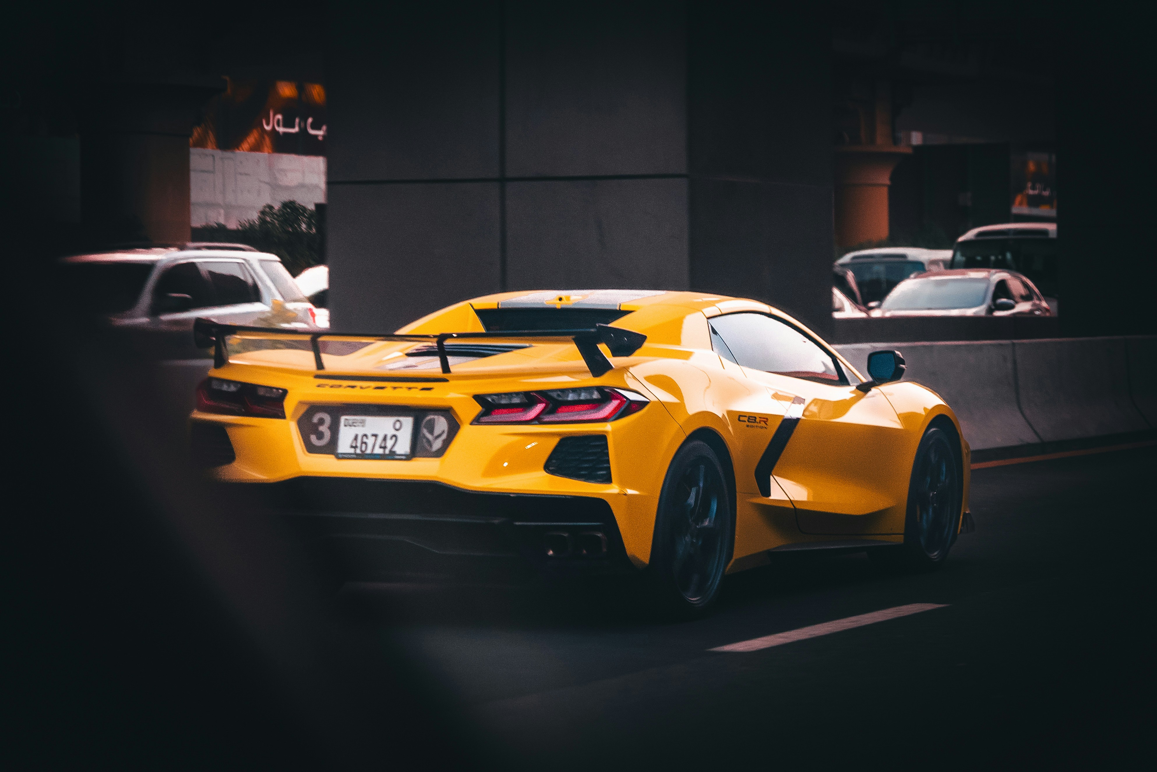 Photo by luanfonsecavisuals