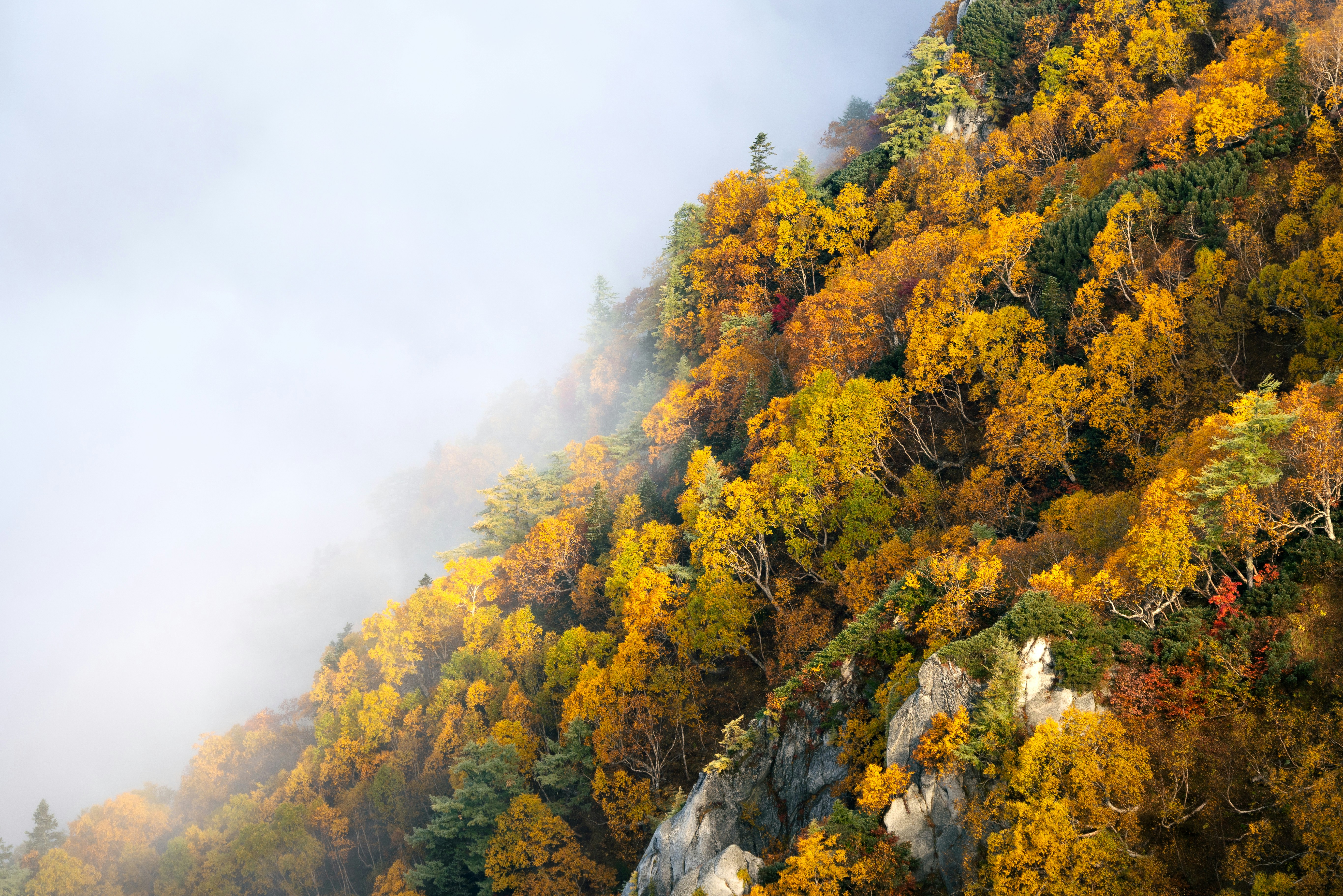 Photo by marekpiwnicki