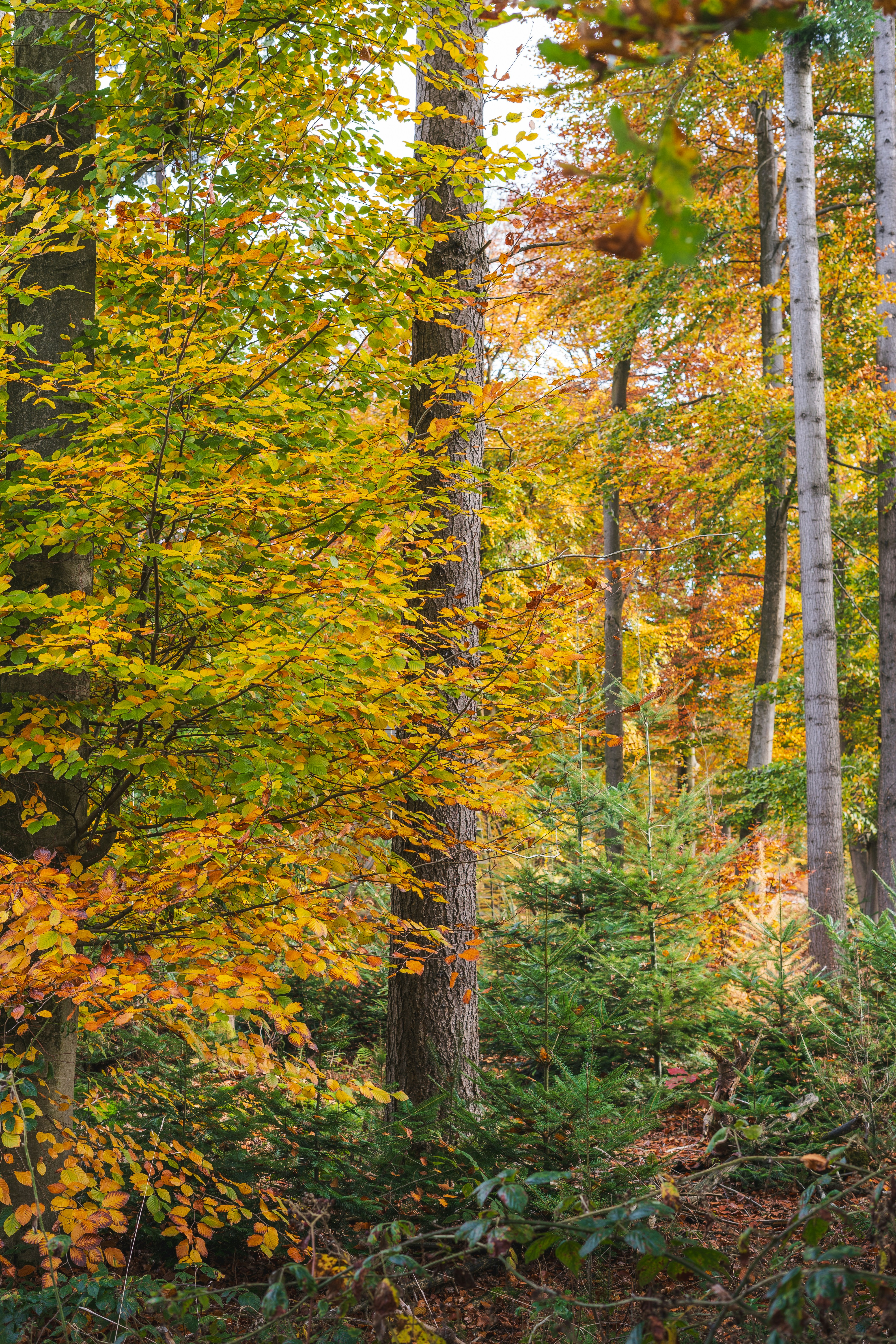 Photo by visualsbying