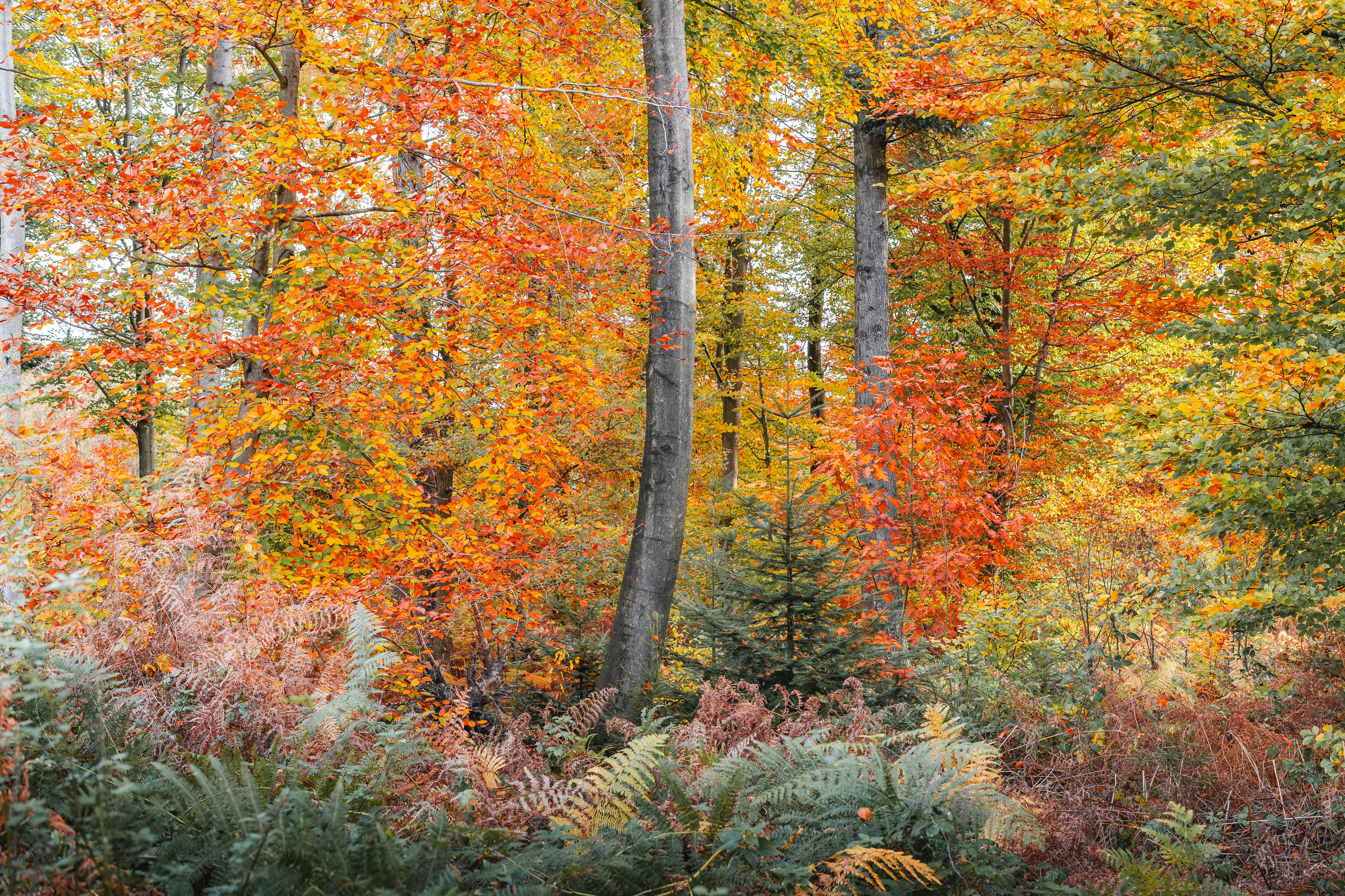 Photo by visualsbying