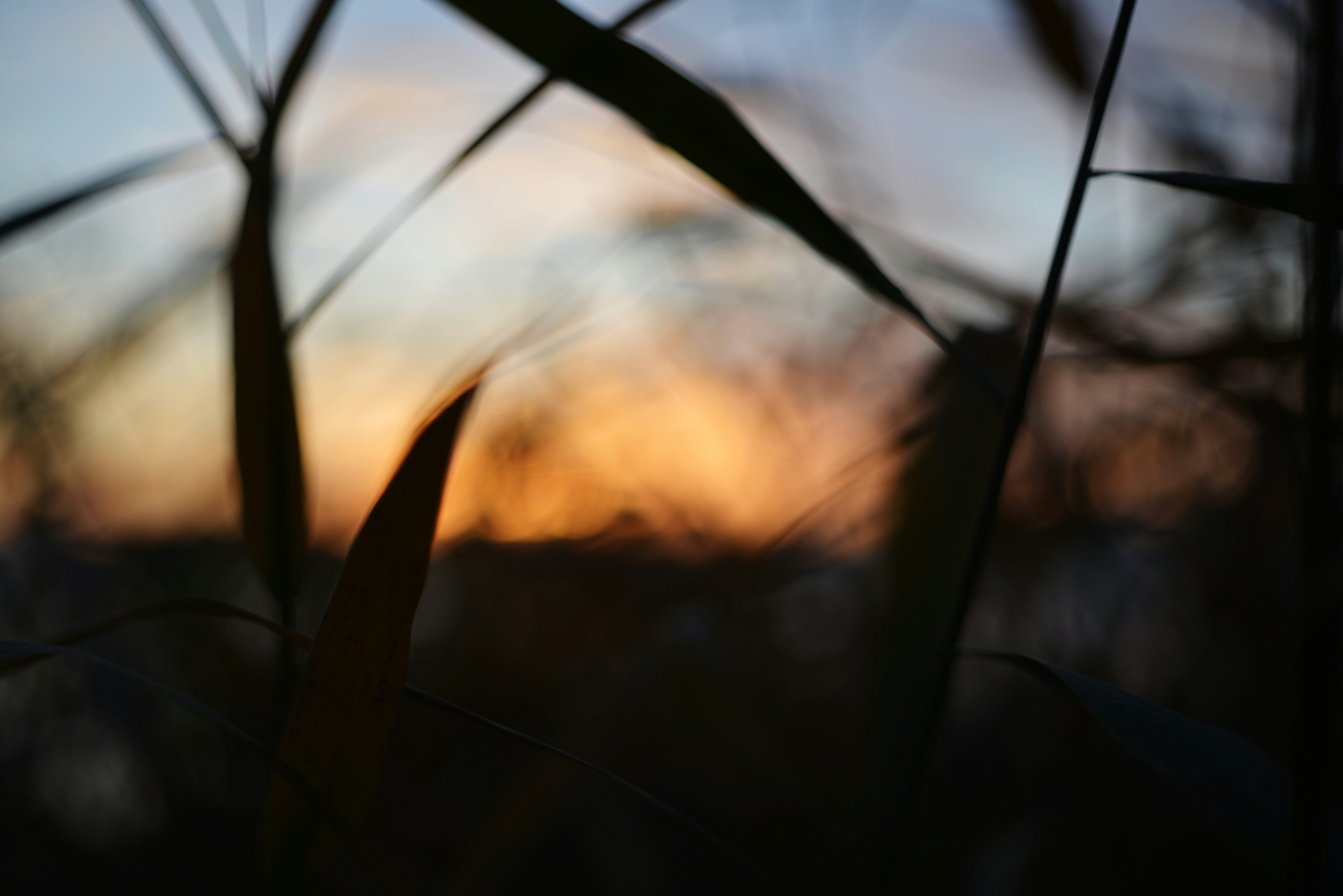 Photo by cherstve_pechivo