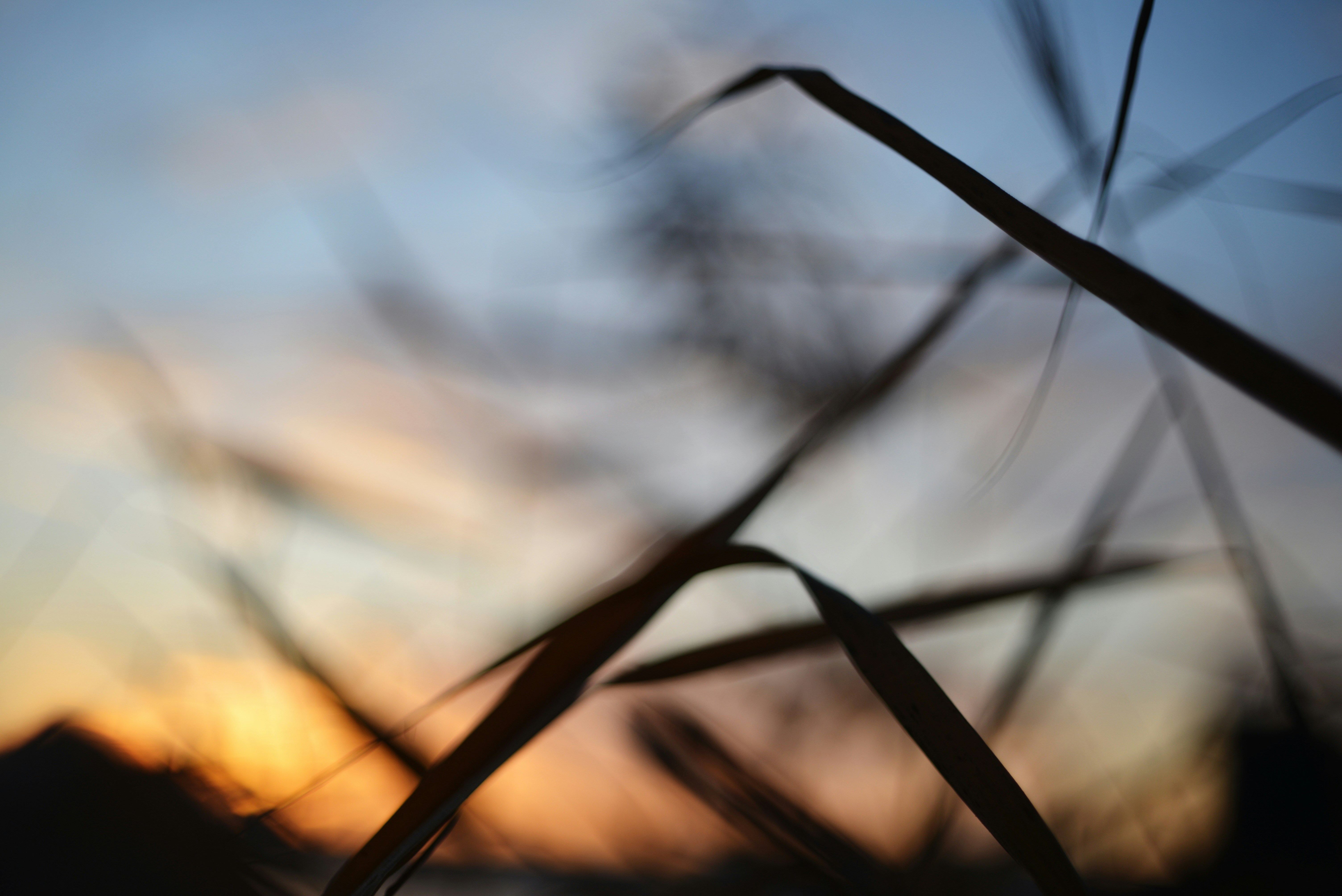 Photo by cherstve_pechivo