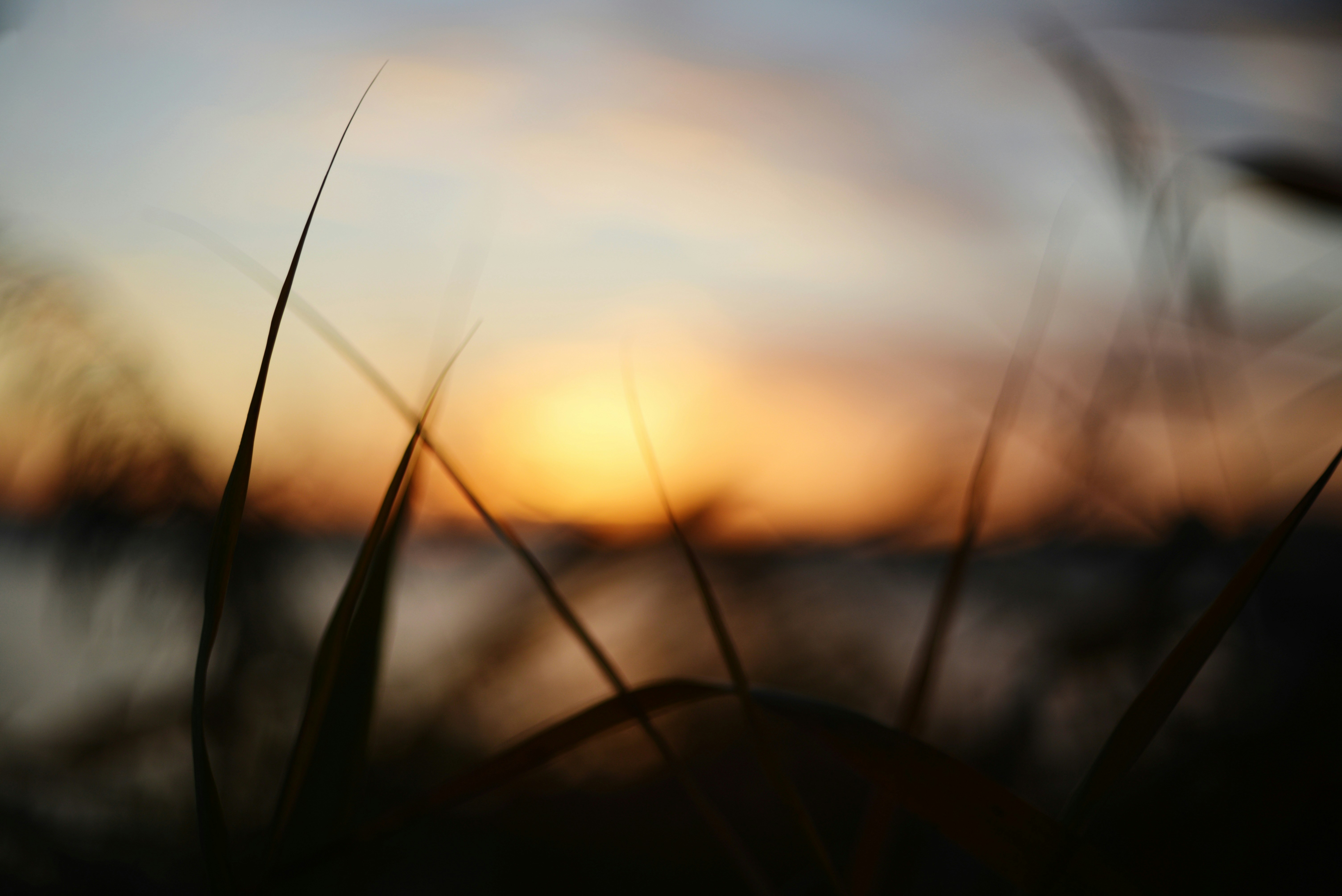 Photo by cherstve_pechivo