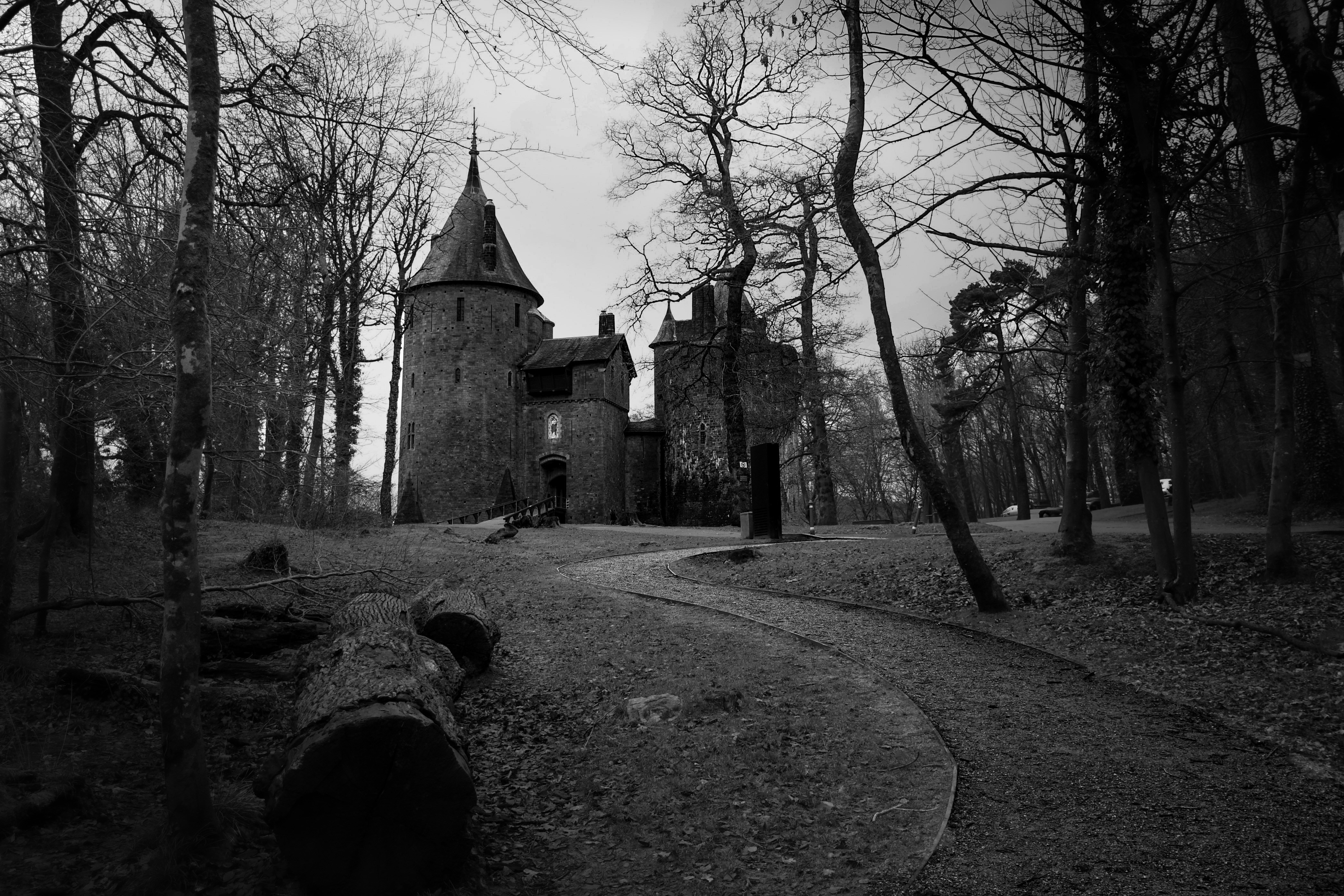 裸木に囲まれた不気味な城