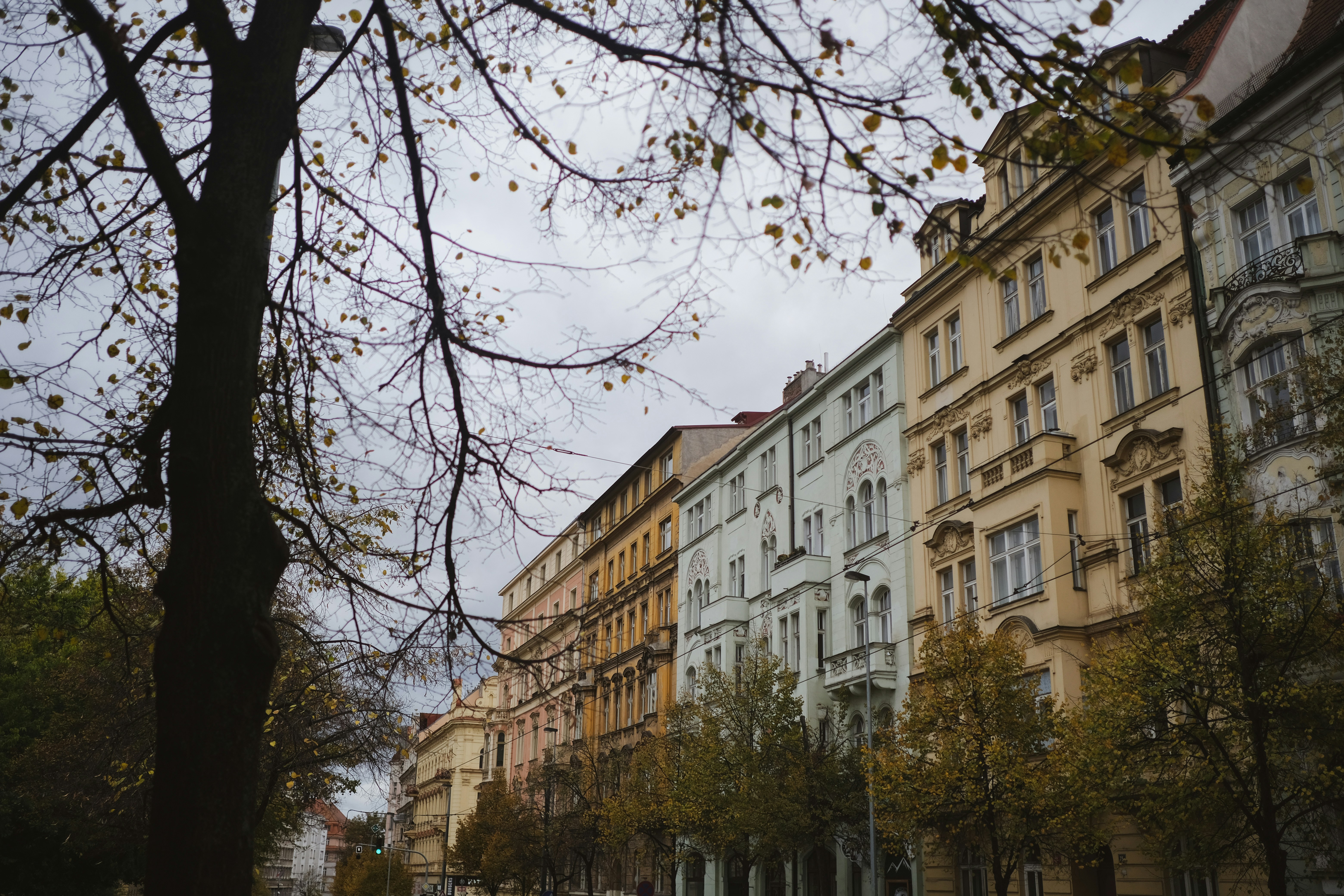 Photo by frequancytimespace