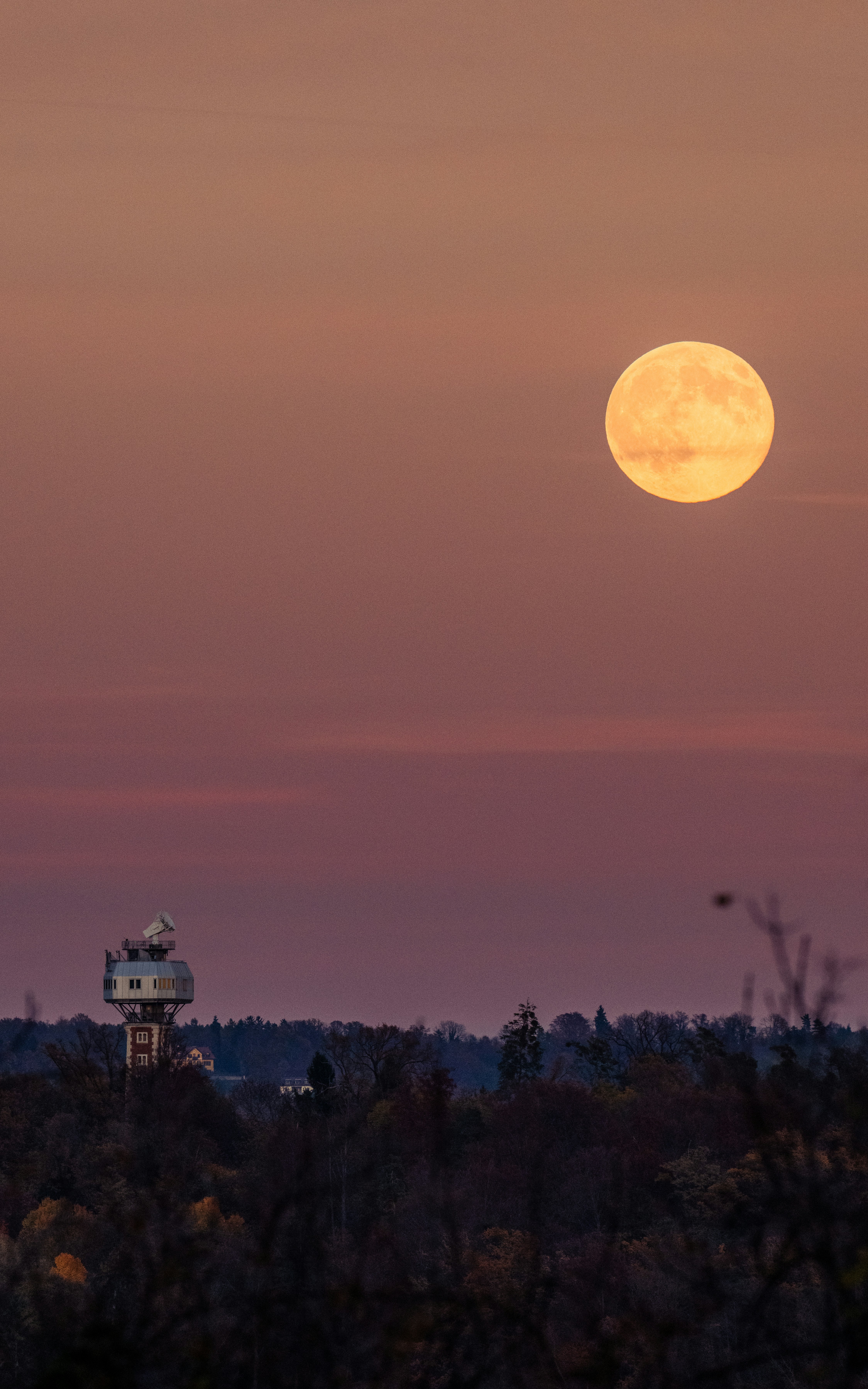 La luna llena se eleva sobre un paisaje silueteado al anochecer.