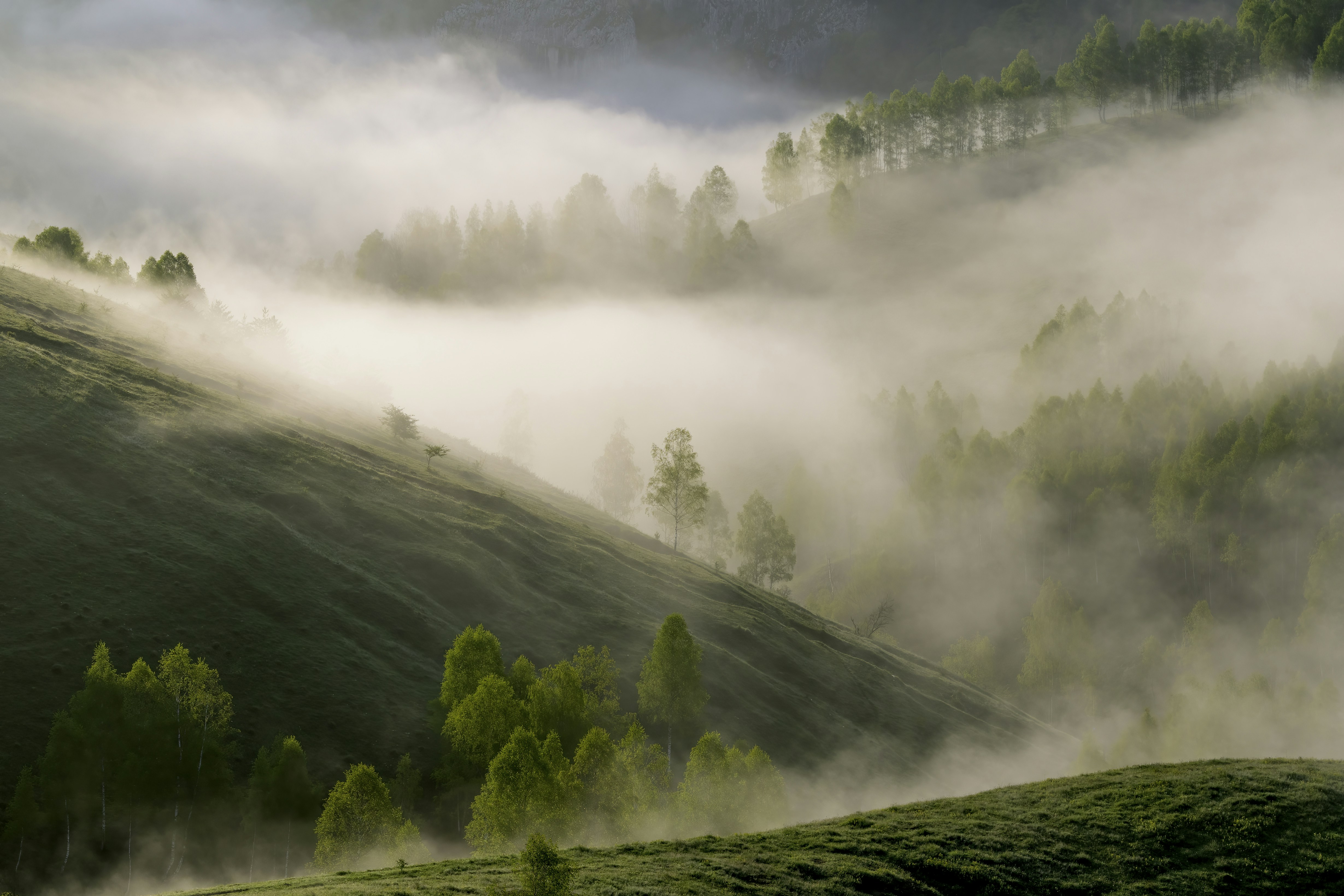 Photo by valentinastn