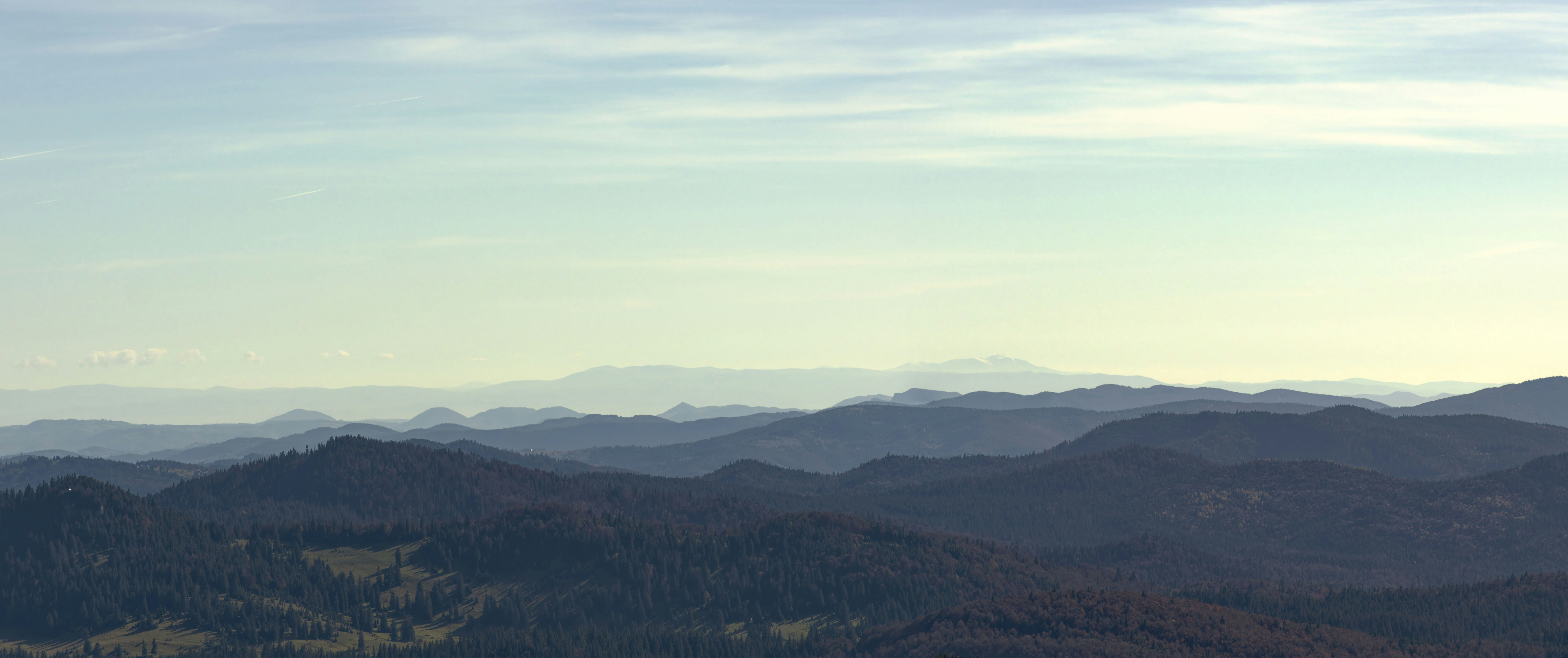 Photo by illes_cristi