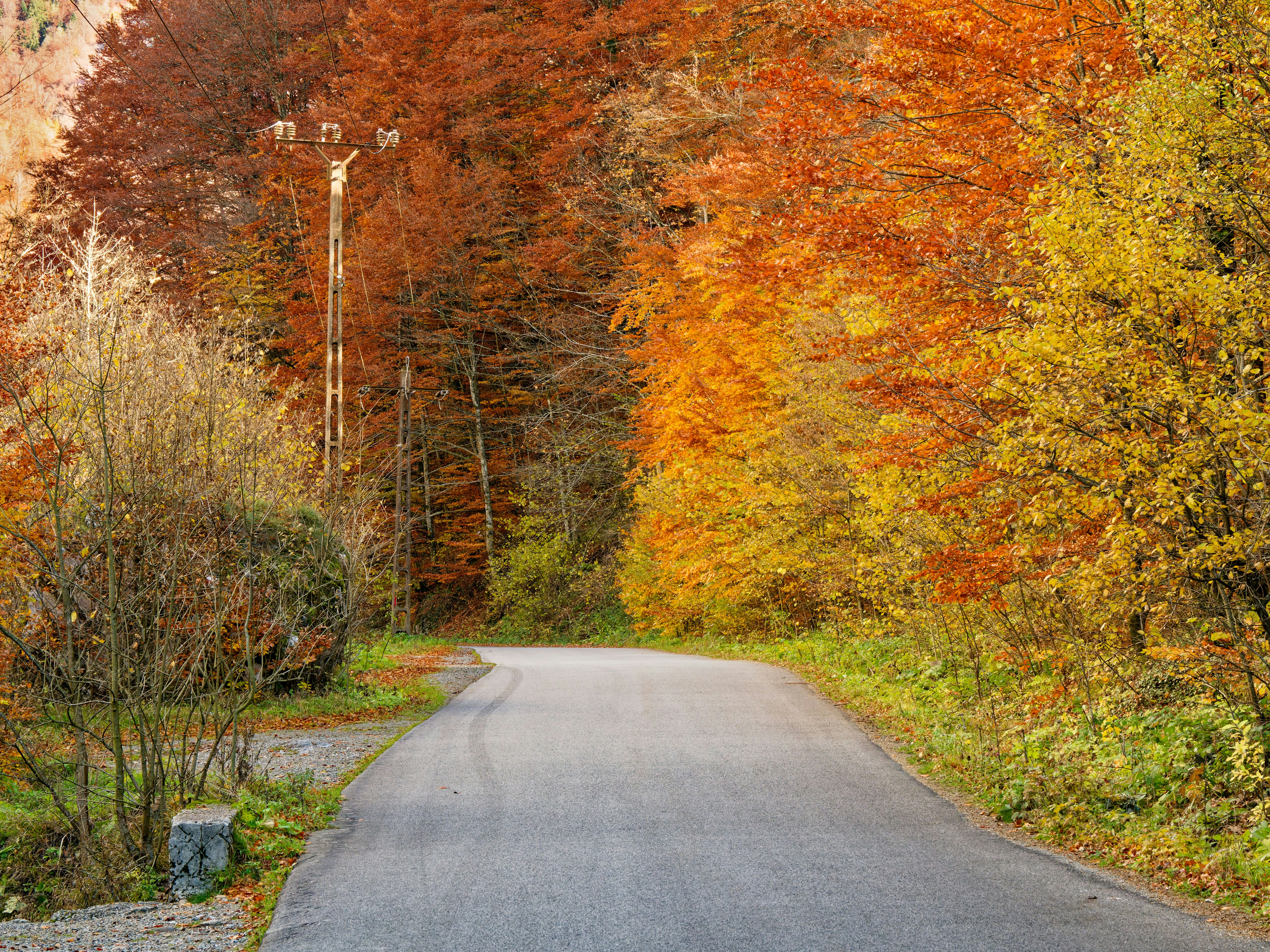 Photo by illes_cristi