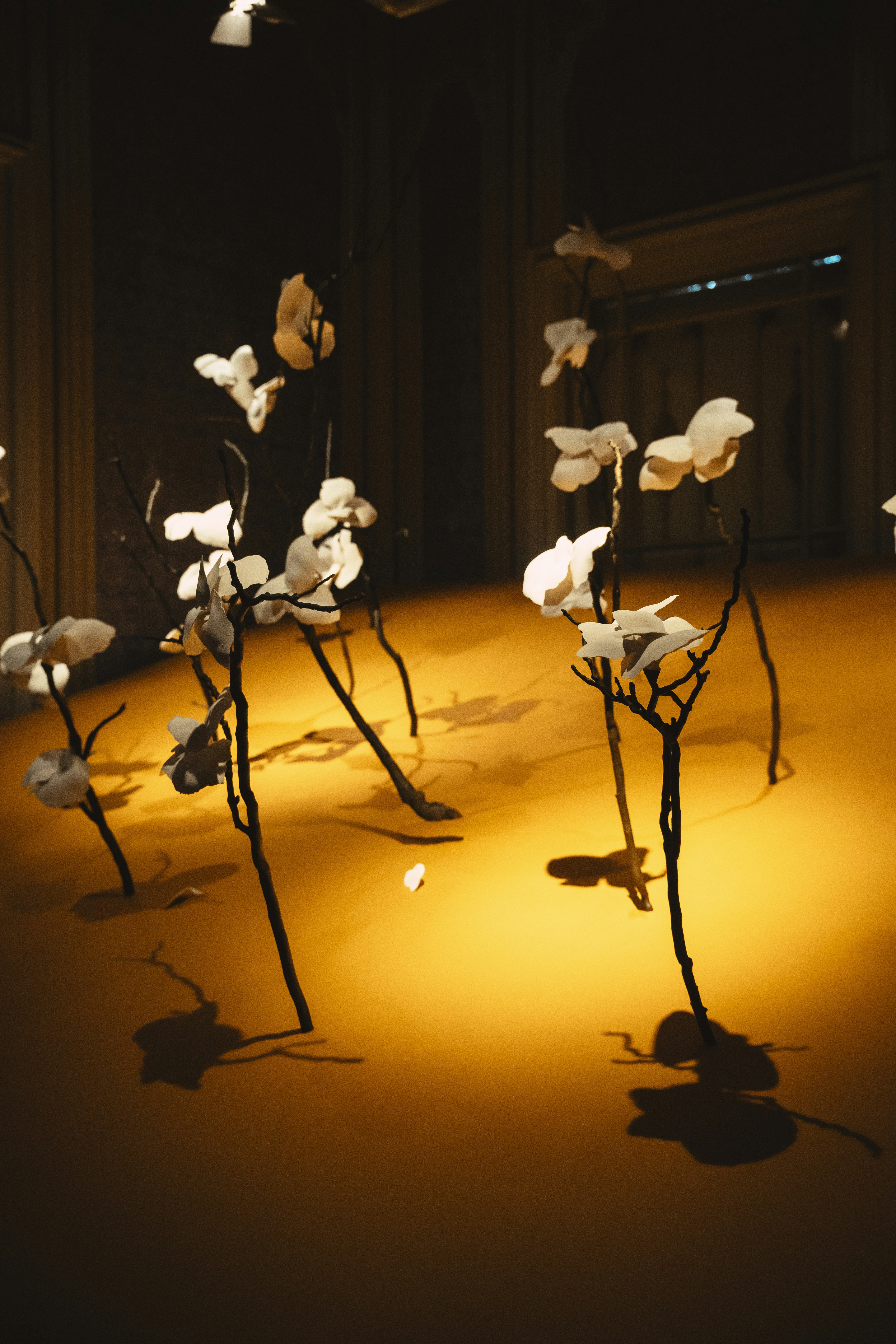 Flores blancas en ramas oscuras sobre superficie naranja