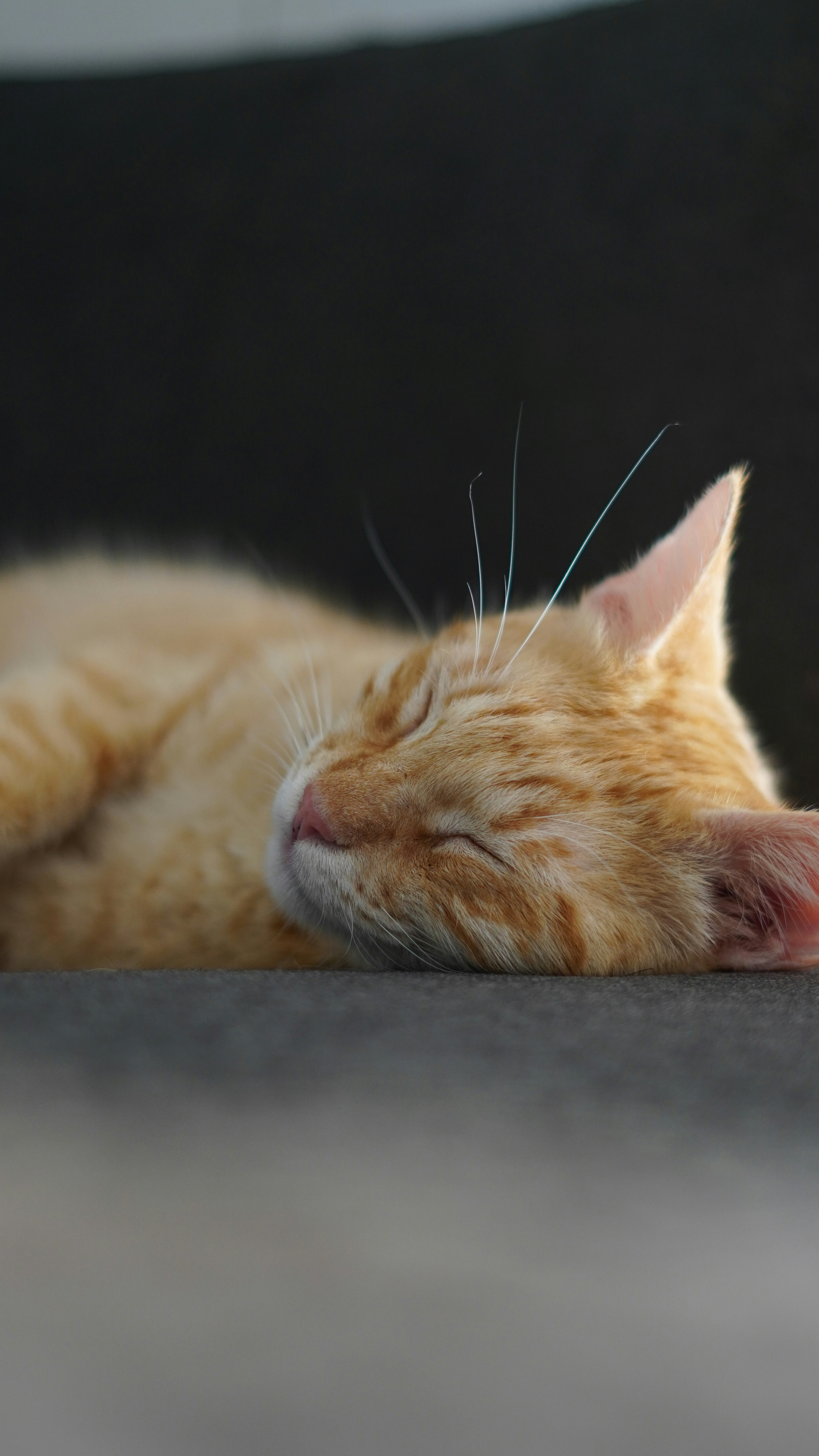 Photo by aerialshooter