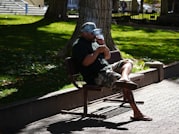 Ave en vuelo simbolizando libertad financiera con ingresos extra en Espana