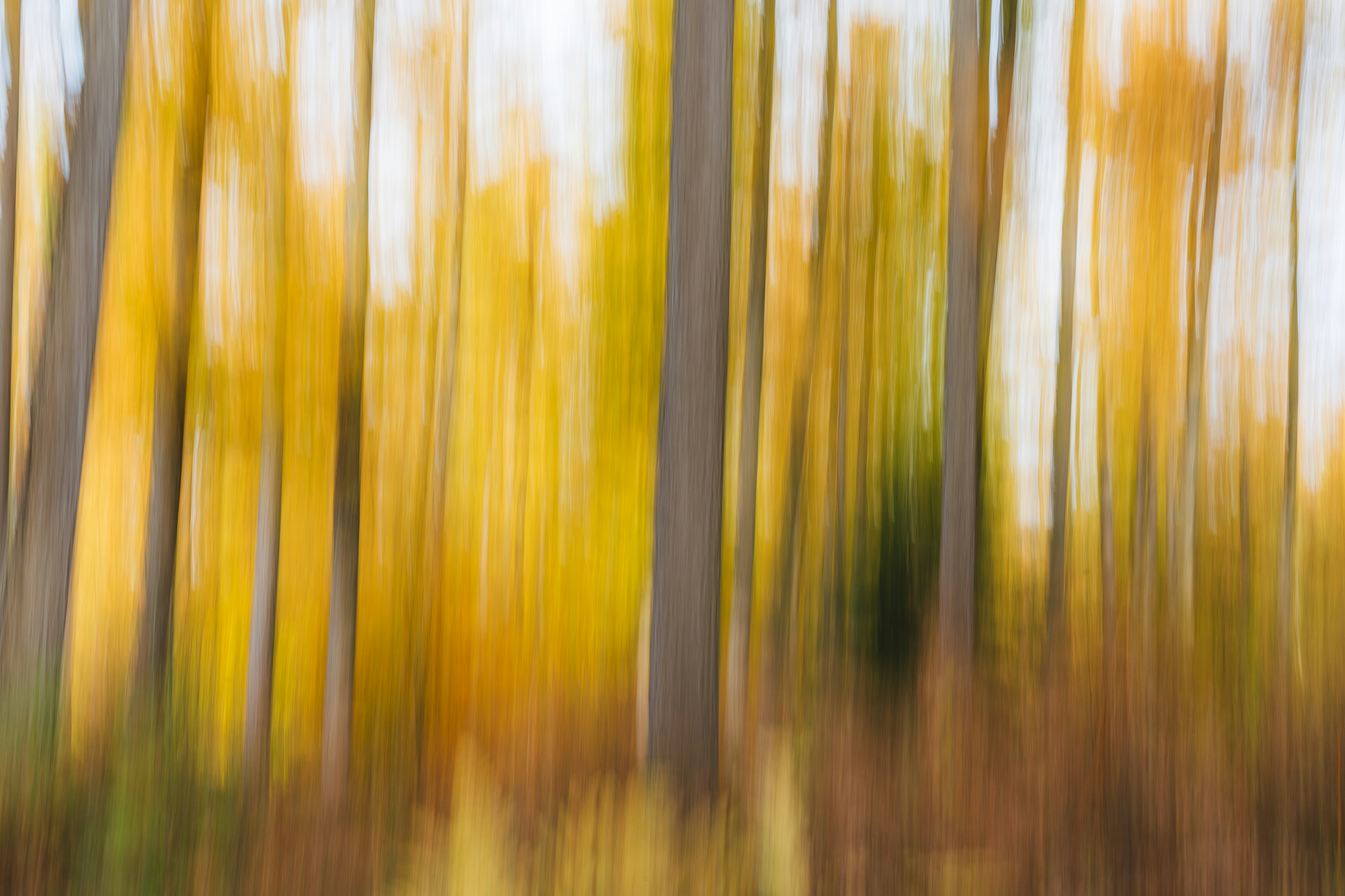 Photo by visualsbying