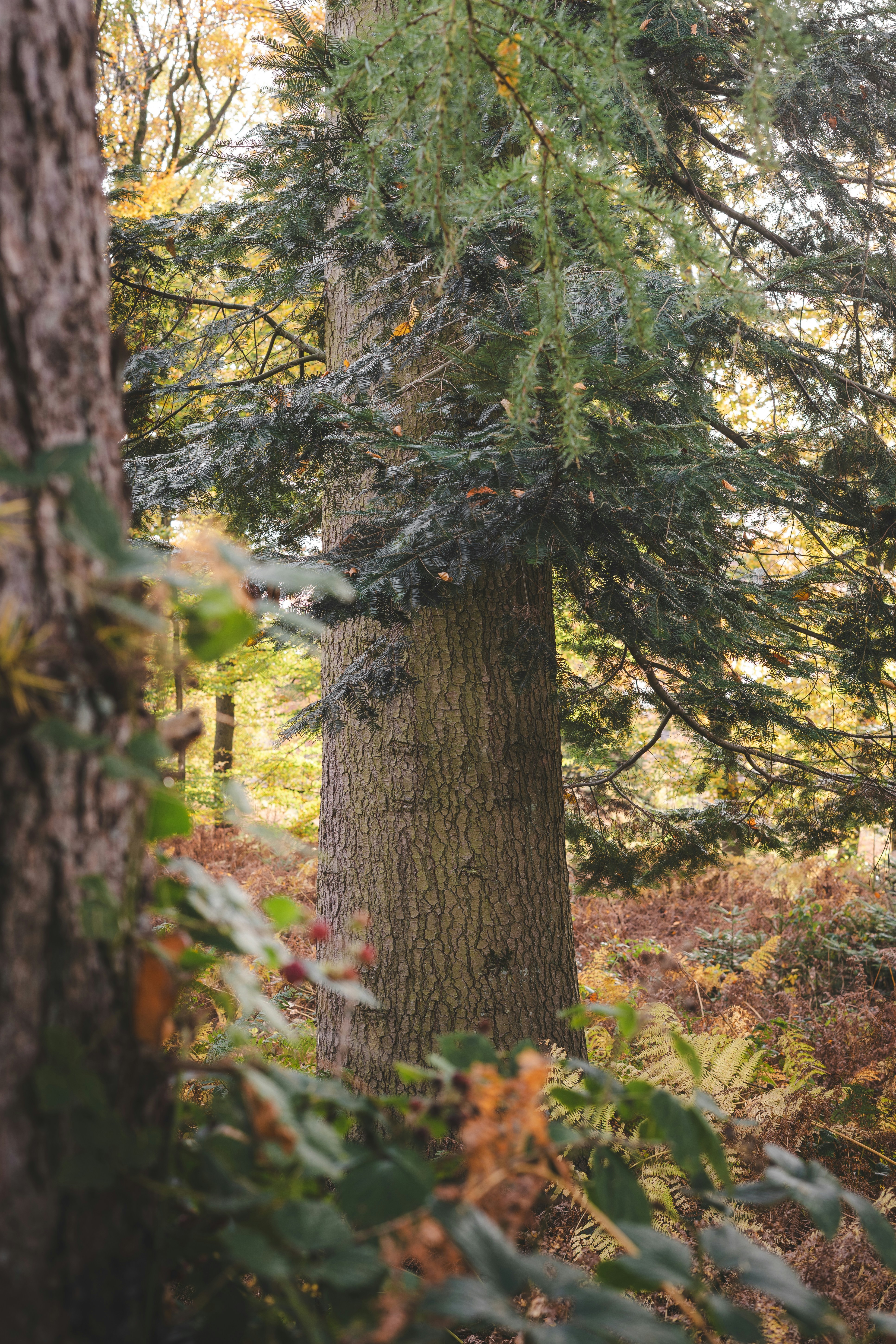 Photo by visualsbying