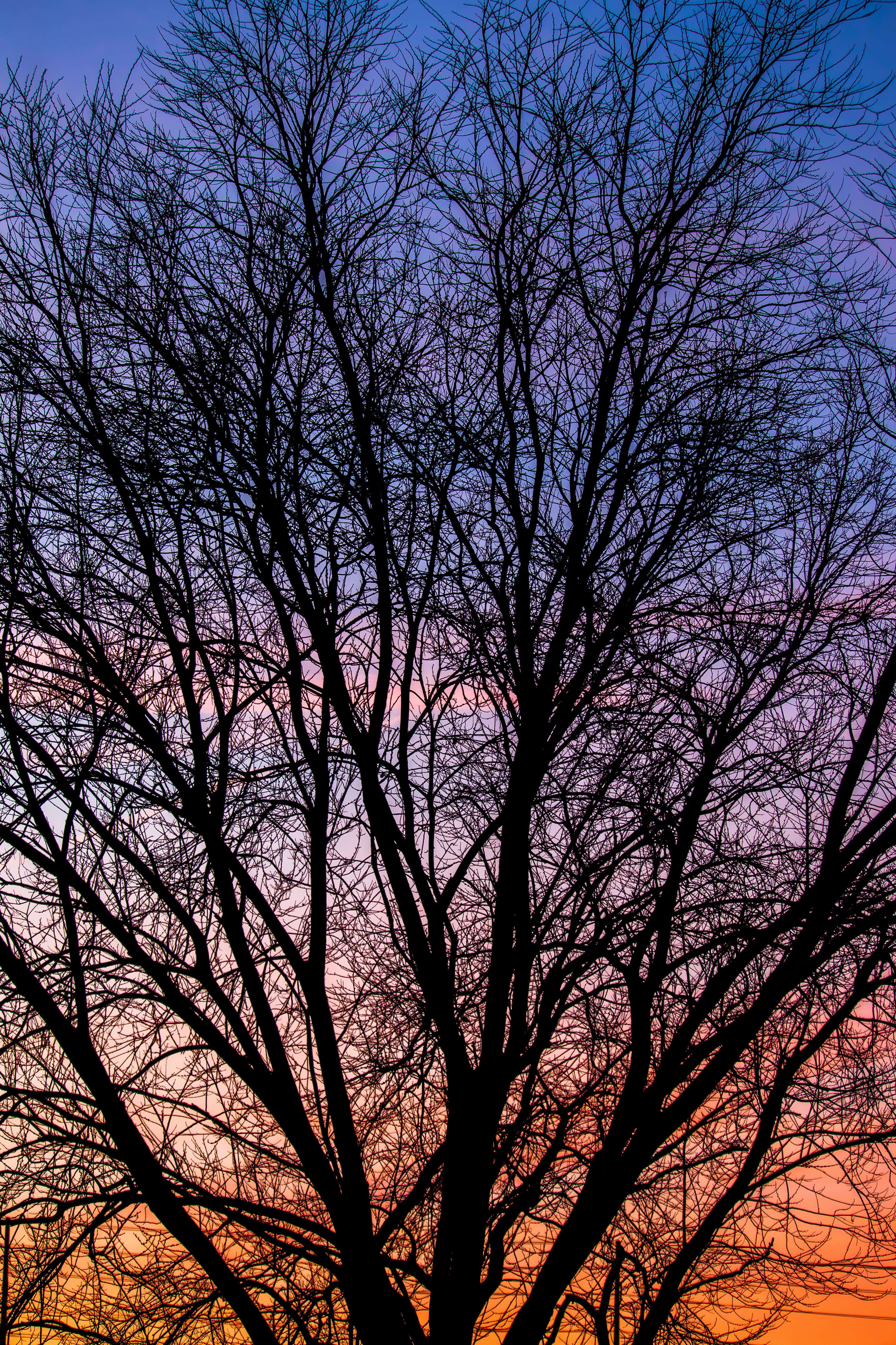 Photo by visionsbyamrit