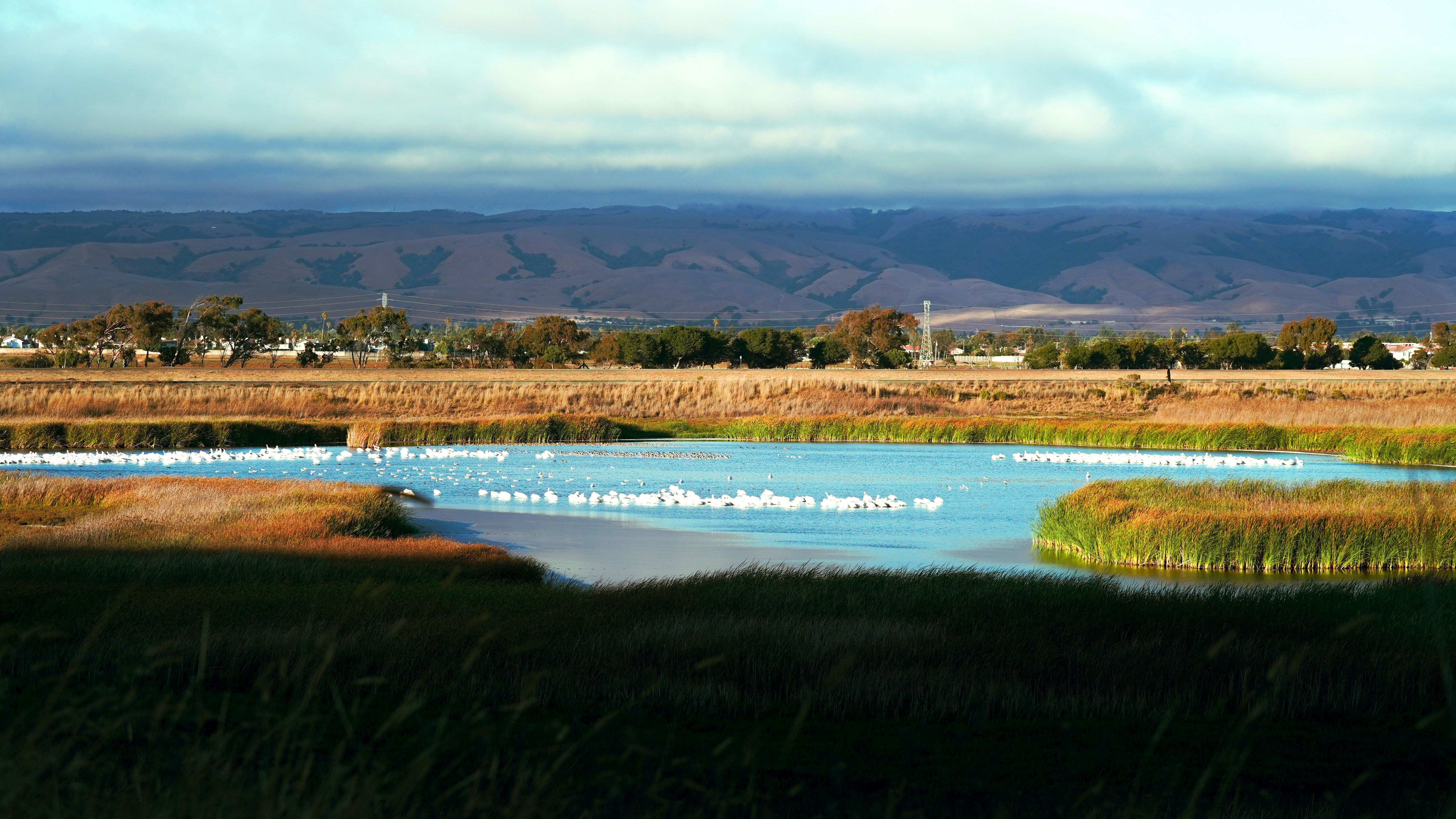 Chivington Wetland Restoration Initiative