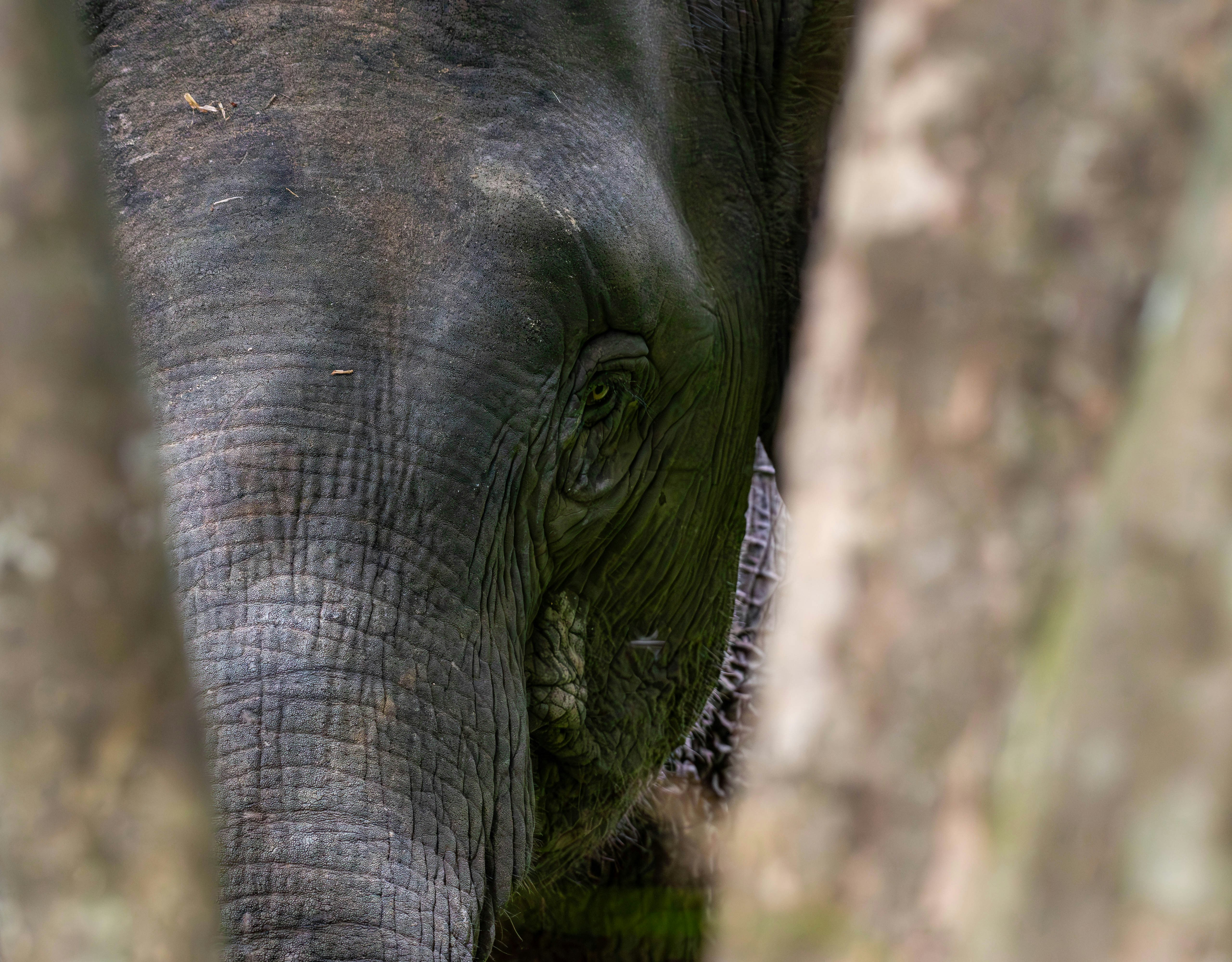 Photo by krishavigna