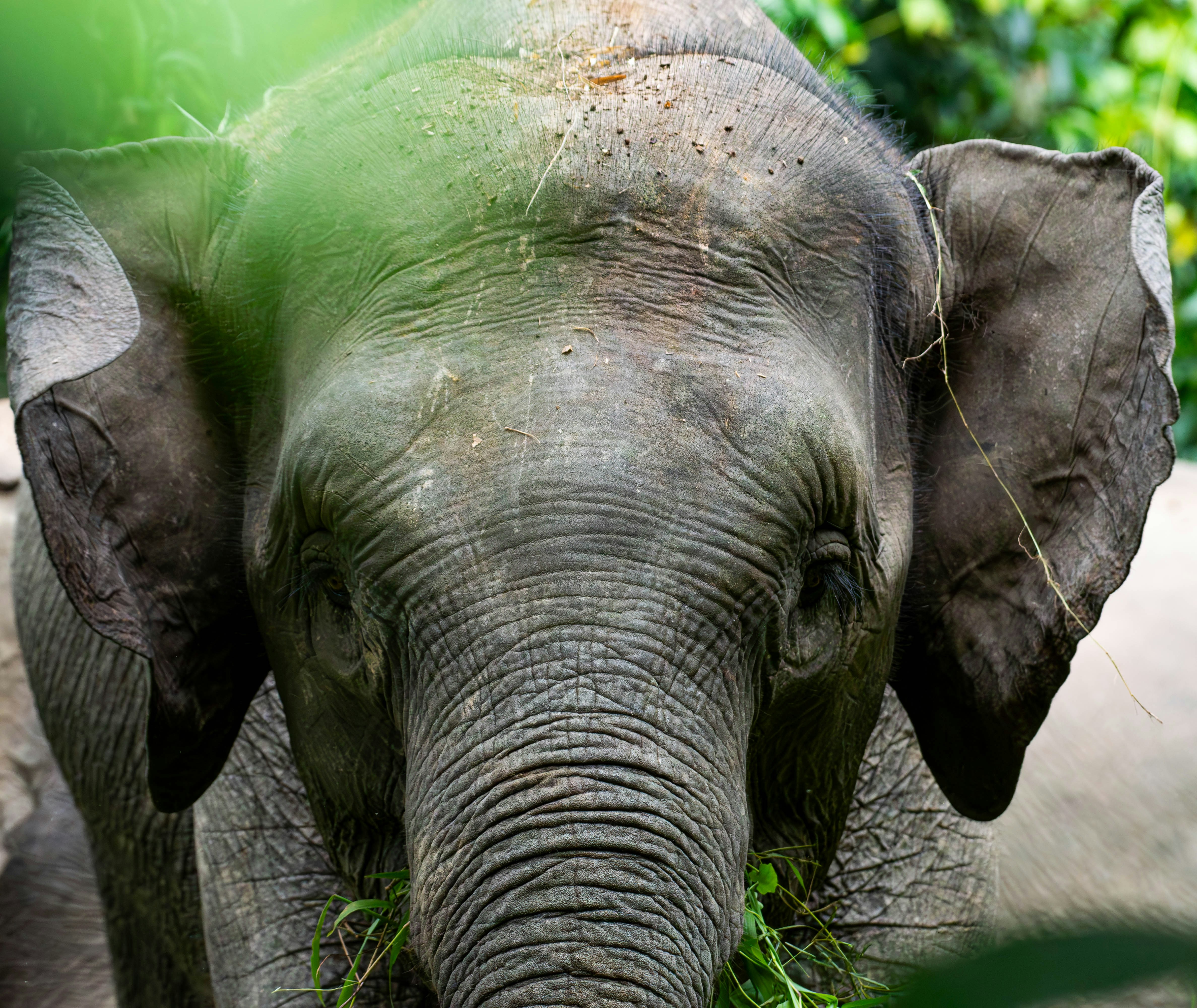 Photo by krishavigna