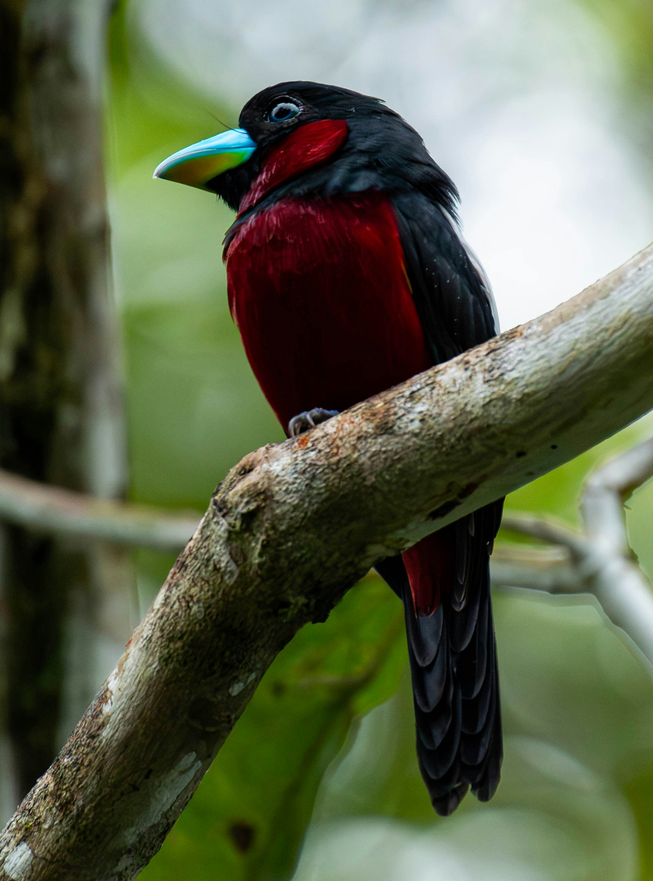 Photo by krishavigna