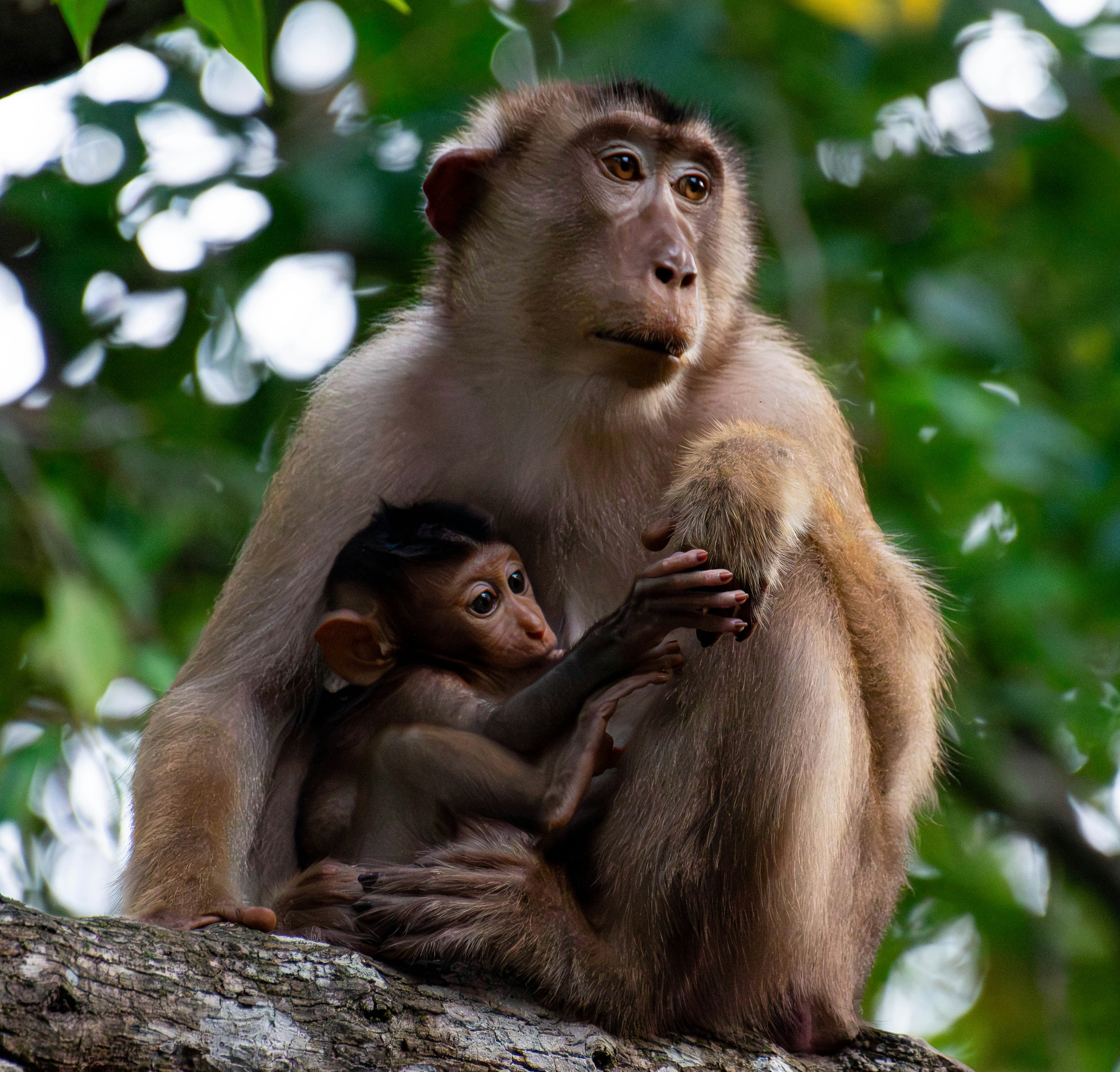 Photo by krishavigna