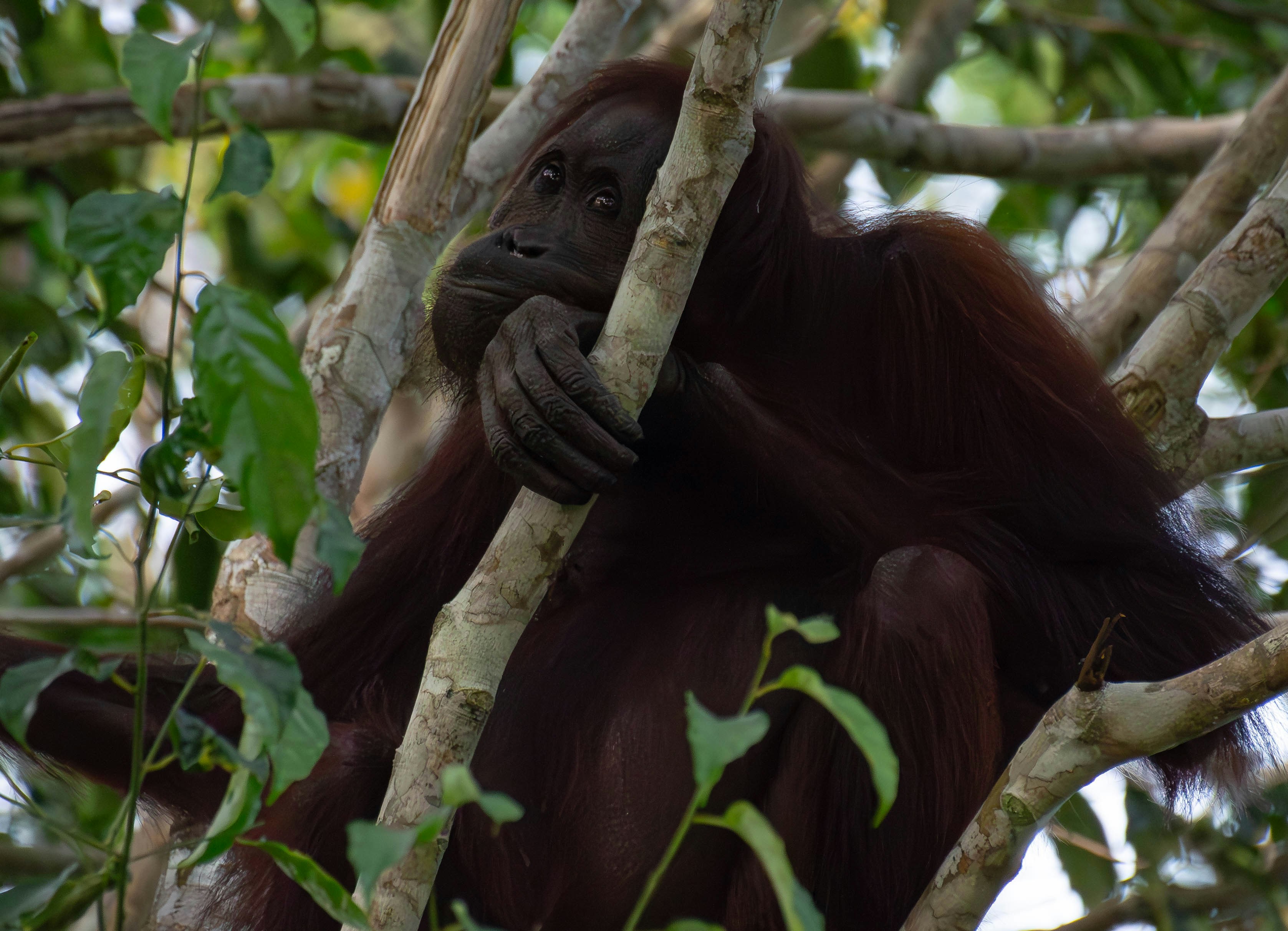 Photo by krishavigna