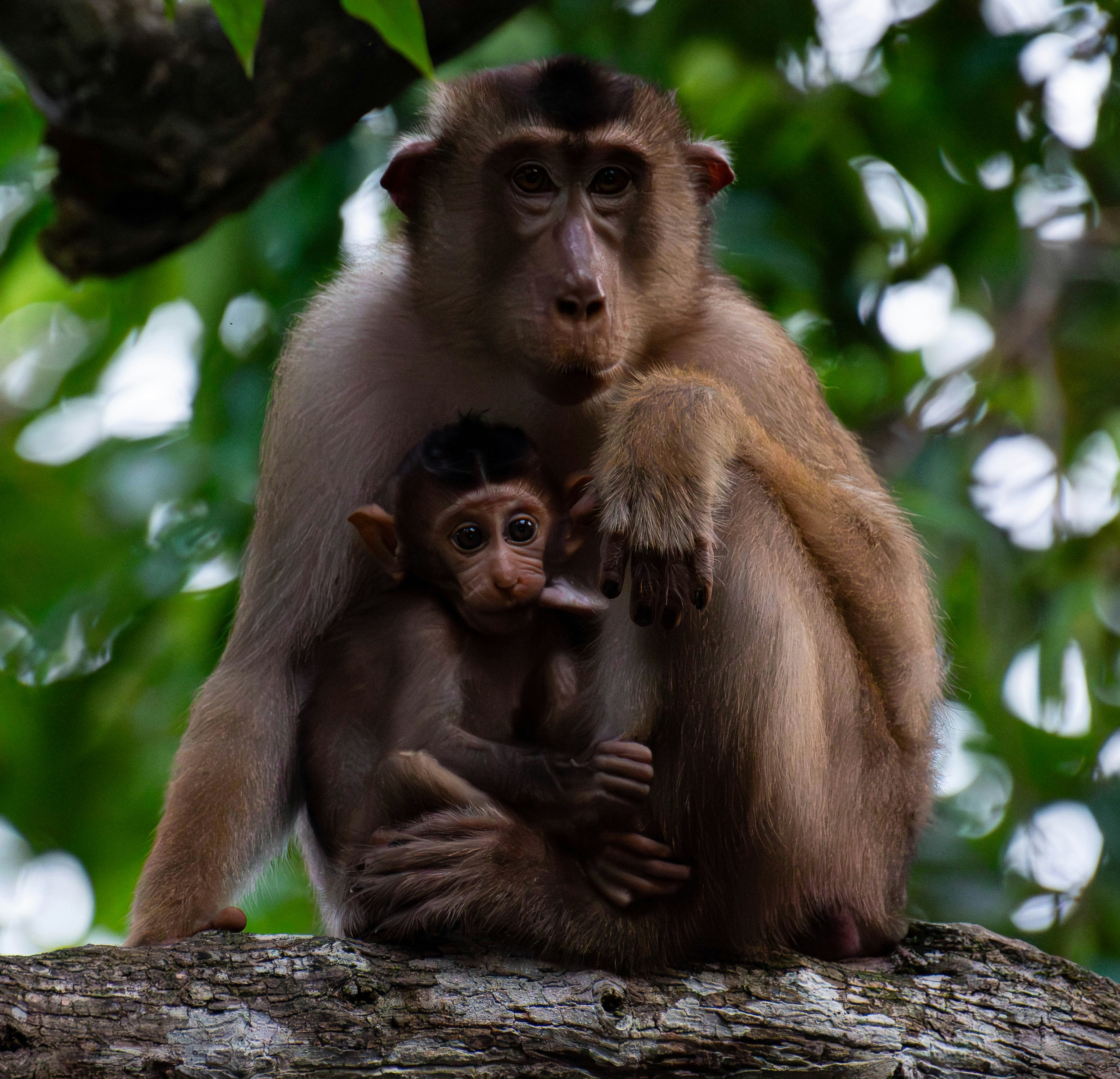 Photo by krishavigna