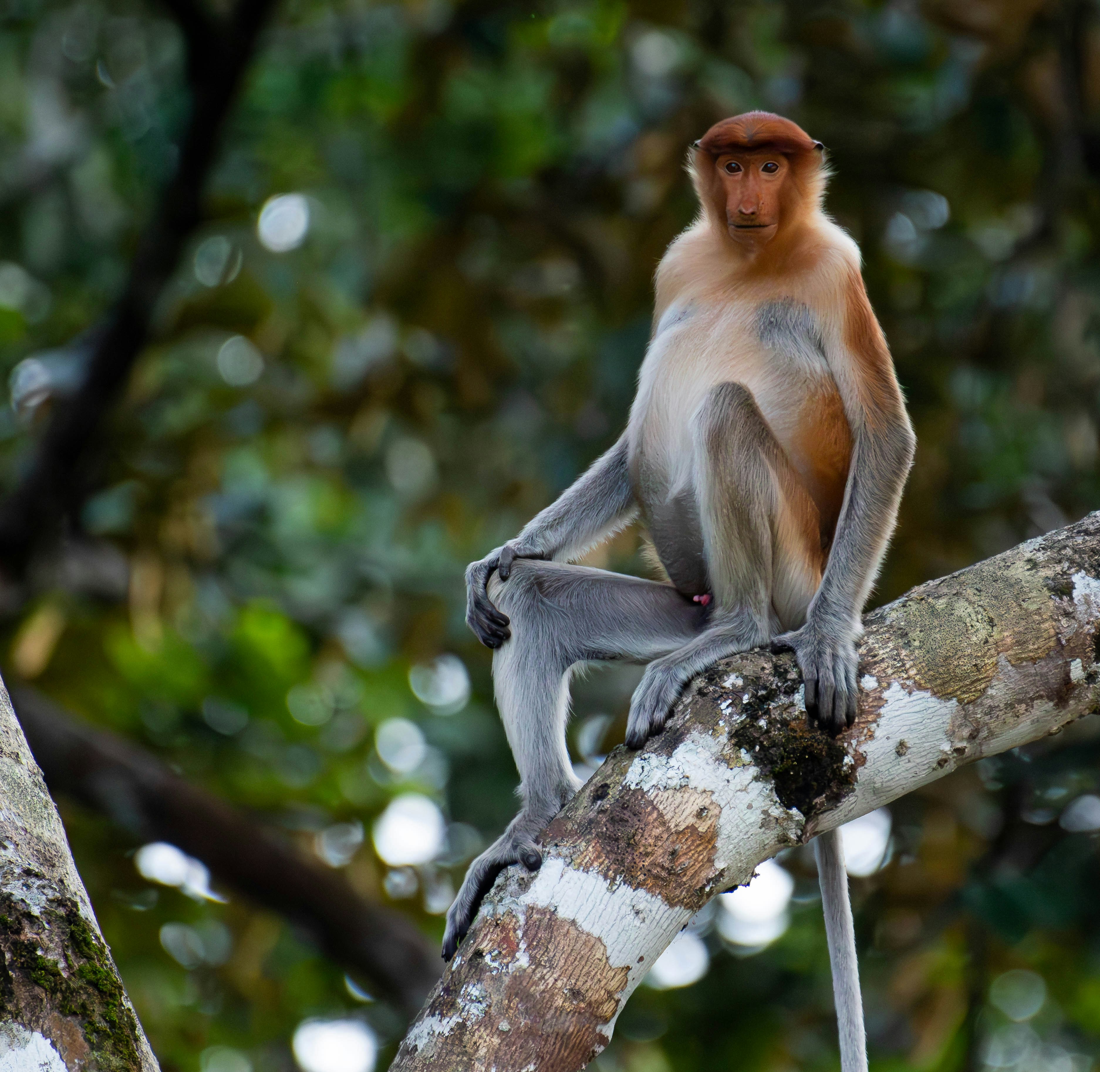 Photo by krishavigna