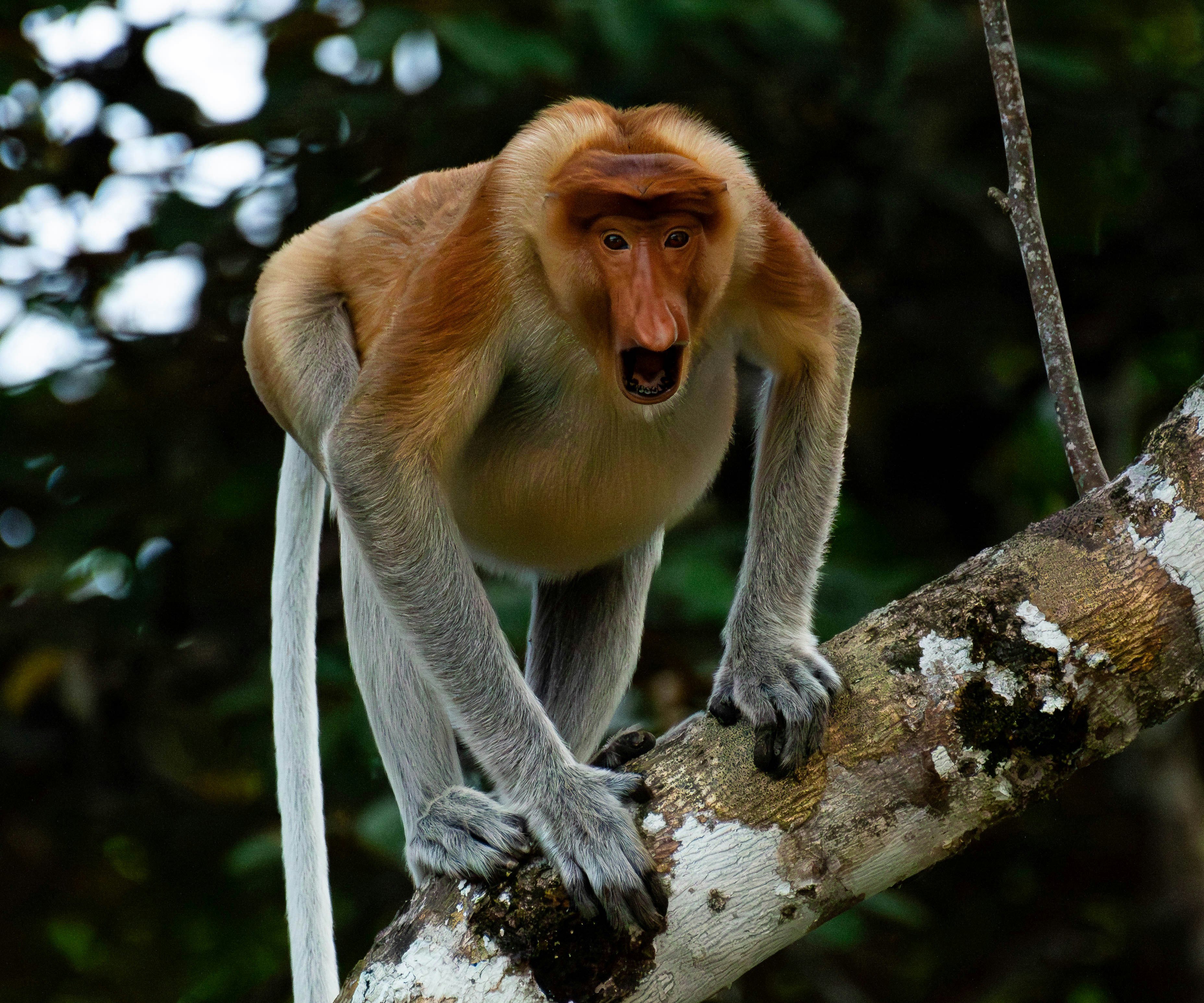 Photo by krishavigna