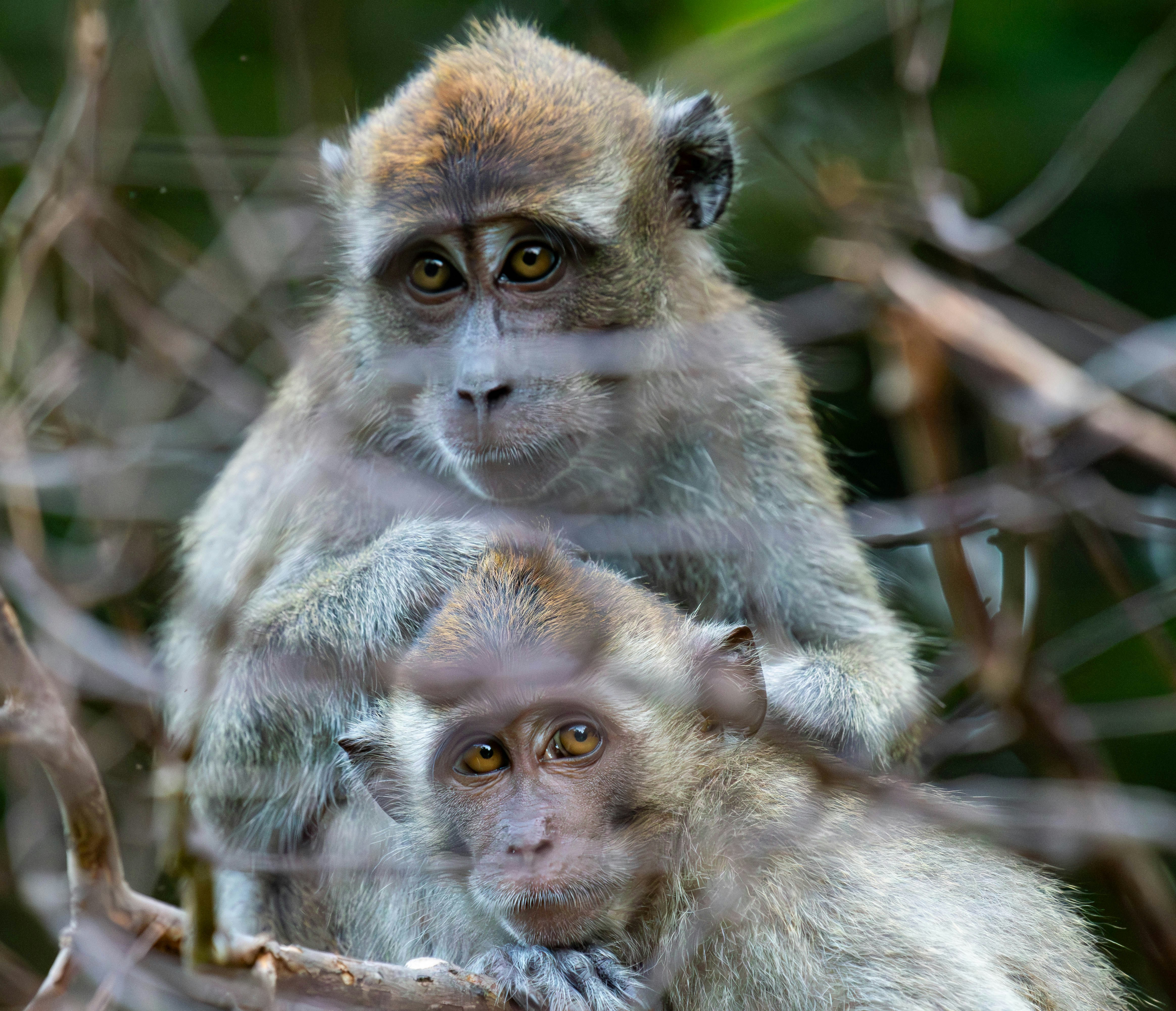 Photo by krishavigna