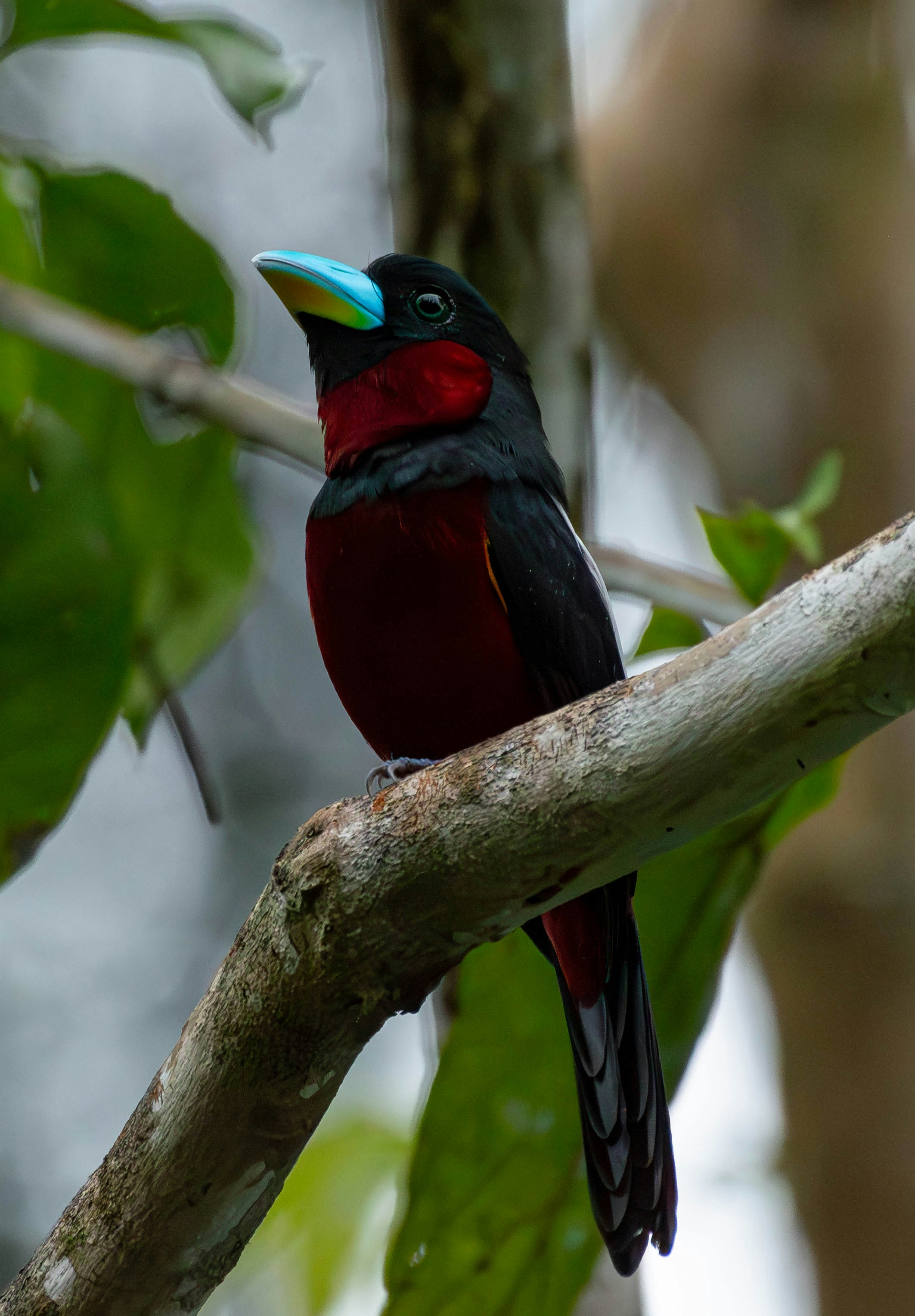 Photo by krishavigna