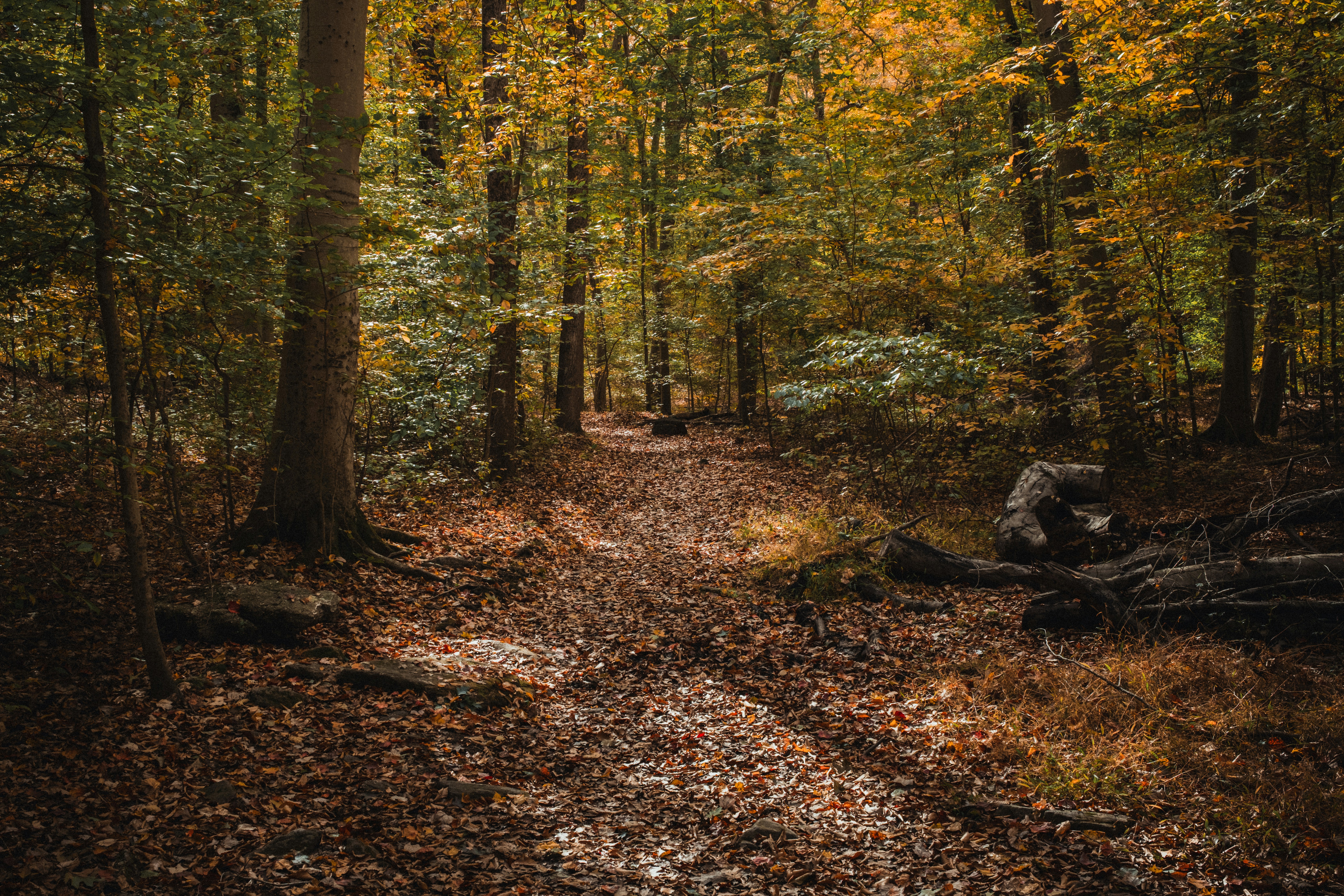 Photo by peterbbryan